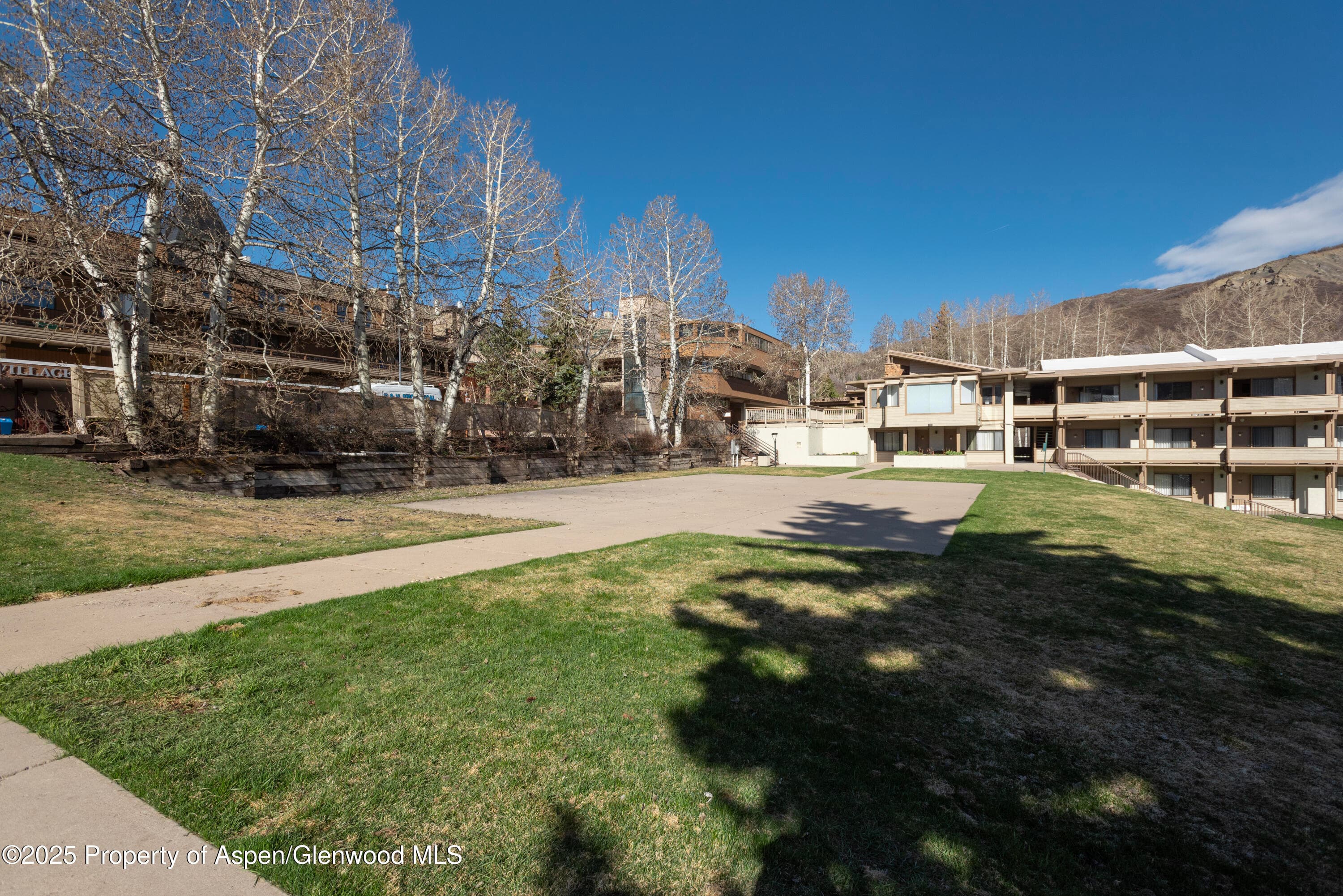 TBD Daly Lane, Snowmass Village, CO 81615 - Photo 9