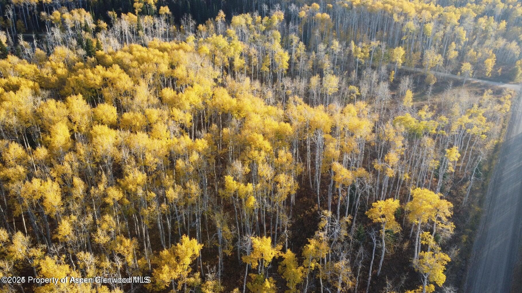 1136 Dipper Drive Lot 205, Craig, CO 81625 - Photo 30