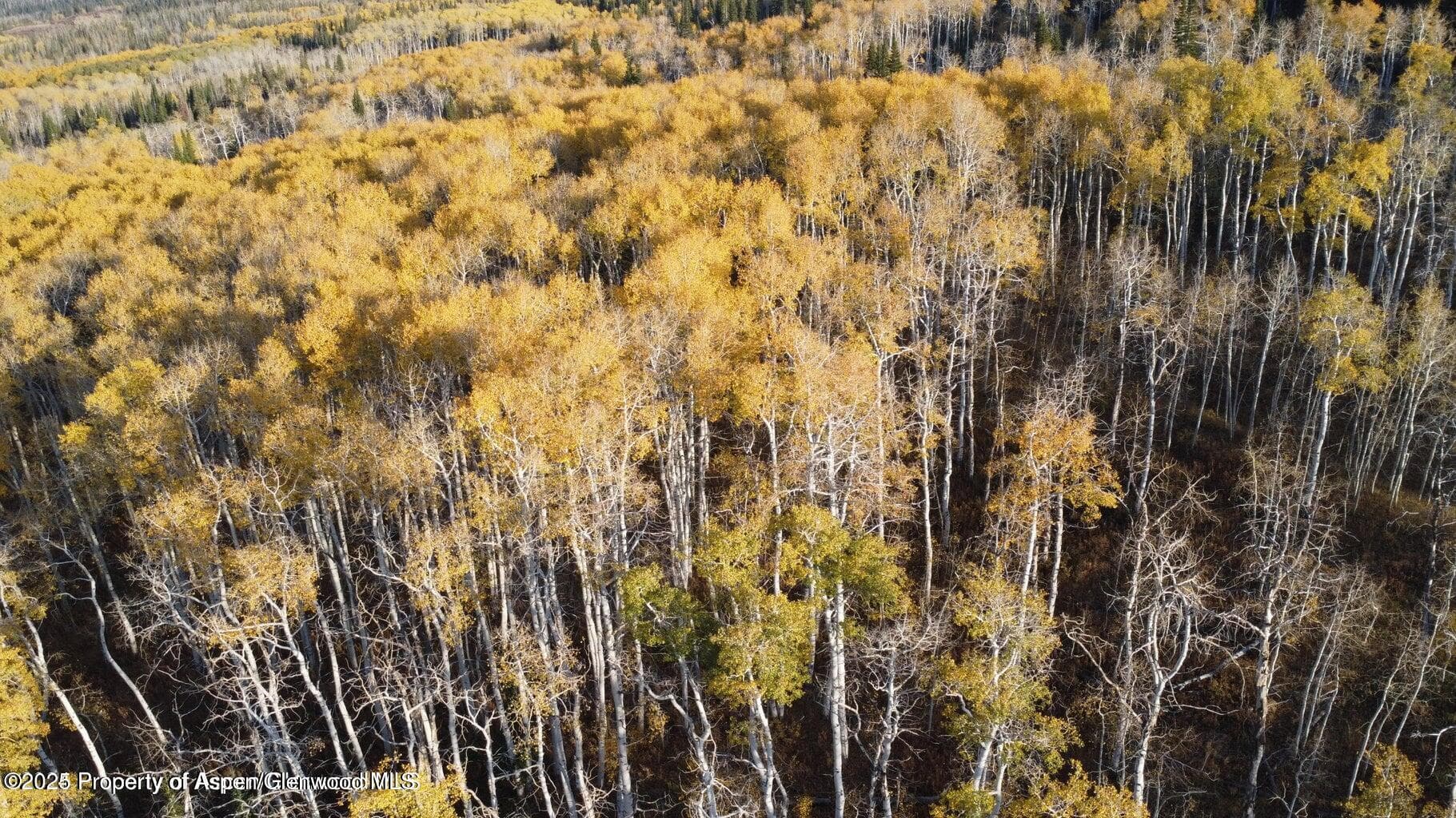 1136 Dipper Drive Lot 205, Craig, CO 81625 - Photo 37