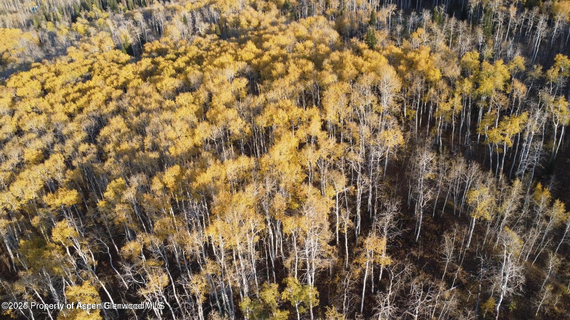 1136 Dipper Drive Lot 205, Craig, CO 81625 - Photo 39