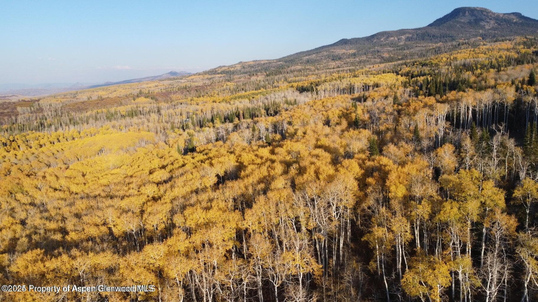 1136 Dipper Drive Lot 205, Craig, CO 81625 - Photo 41