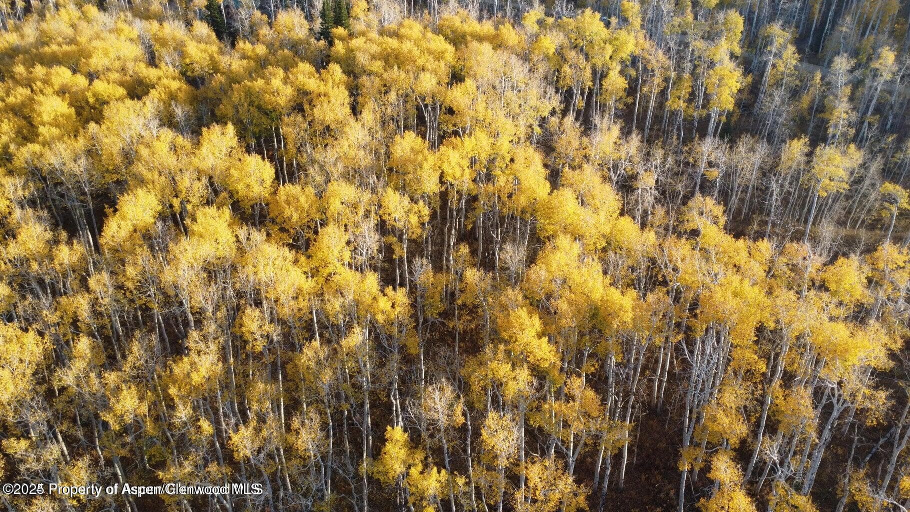 1136 Dipper Drive Lot 205, Craig, CO 81625 - Photo 42