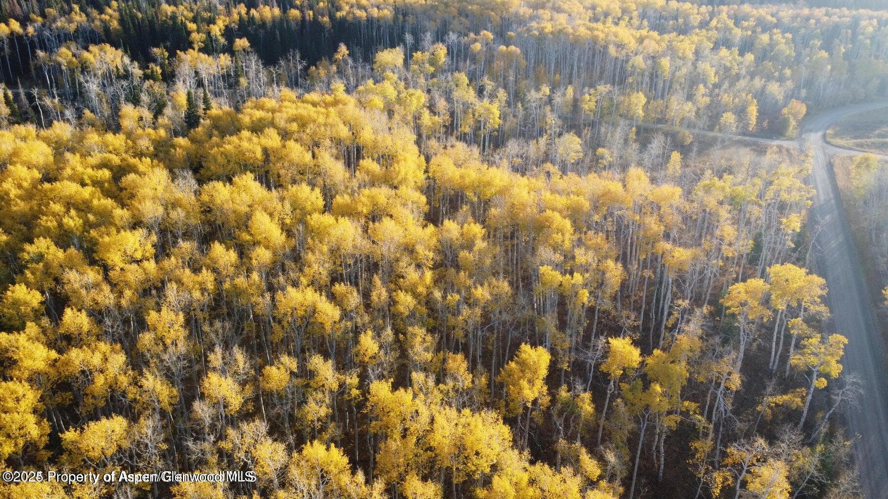 1136 Dipper Drive Lot 205, Craig, CO 81625 - Photo 43