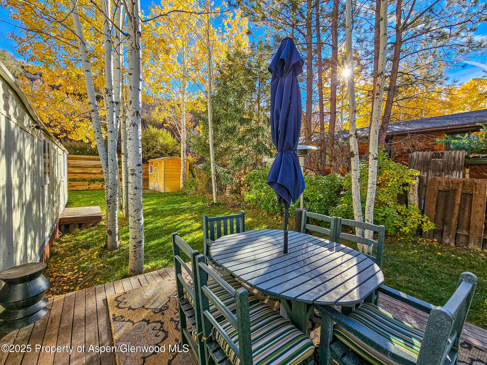 137 Ridge Trail, Aspen, CO 81611 - Photo 6