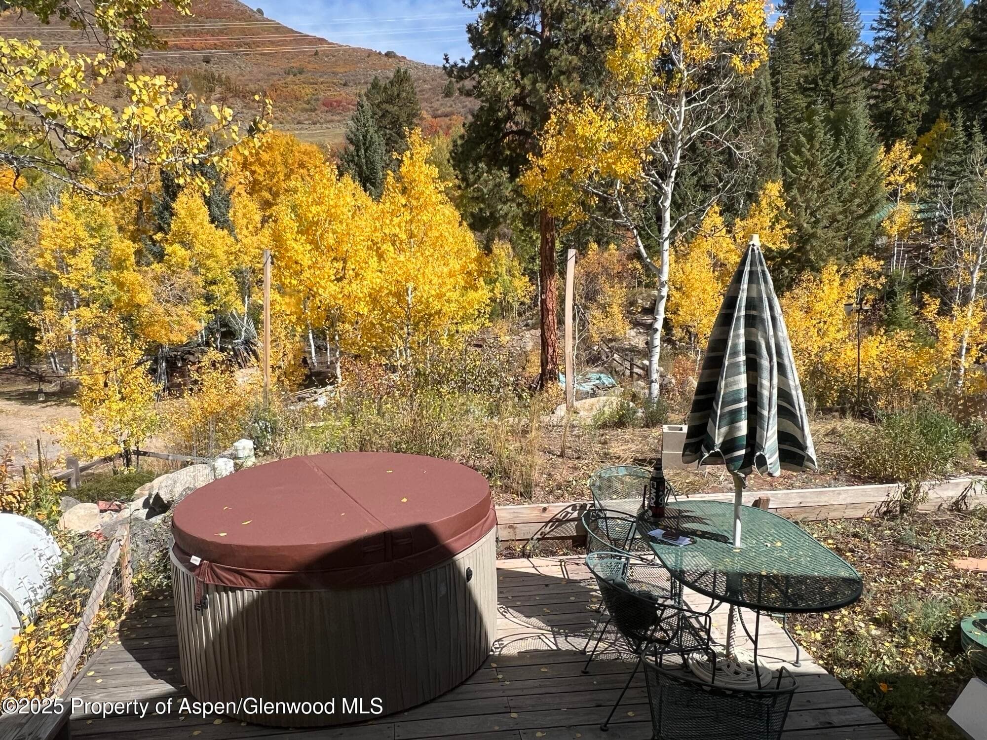 Property - Photo 3