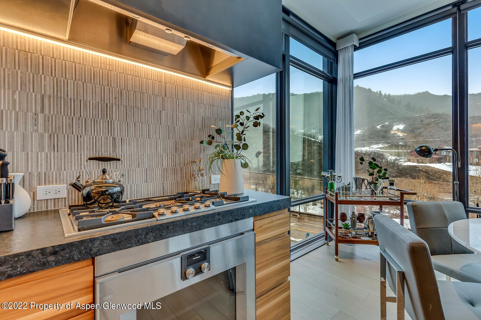 45 Wood Road 301, Snowmass Village, CO 81615 - Photo 17
