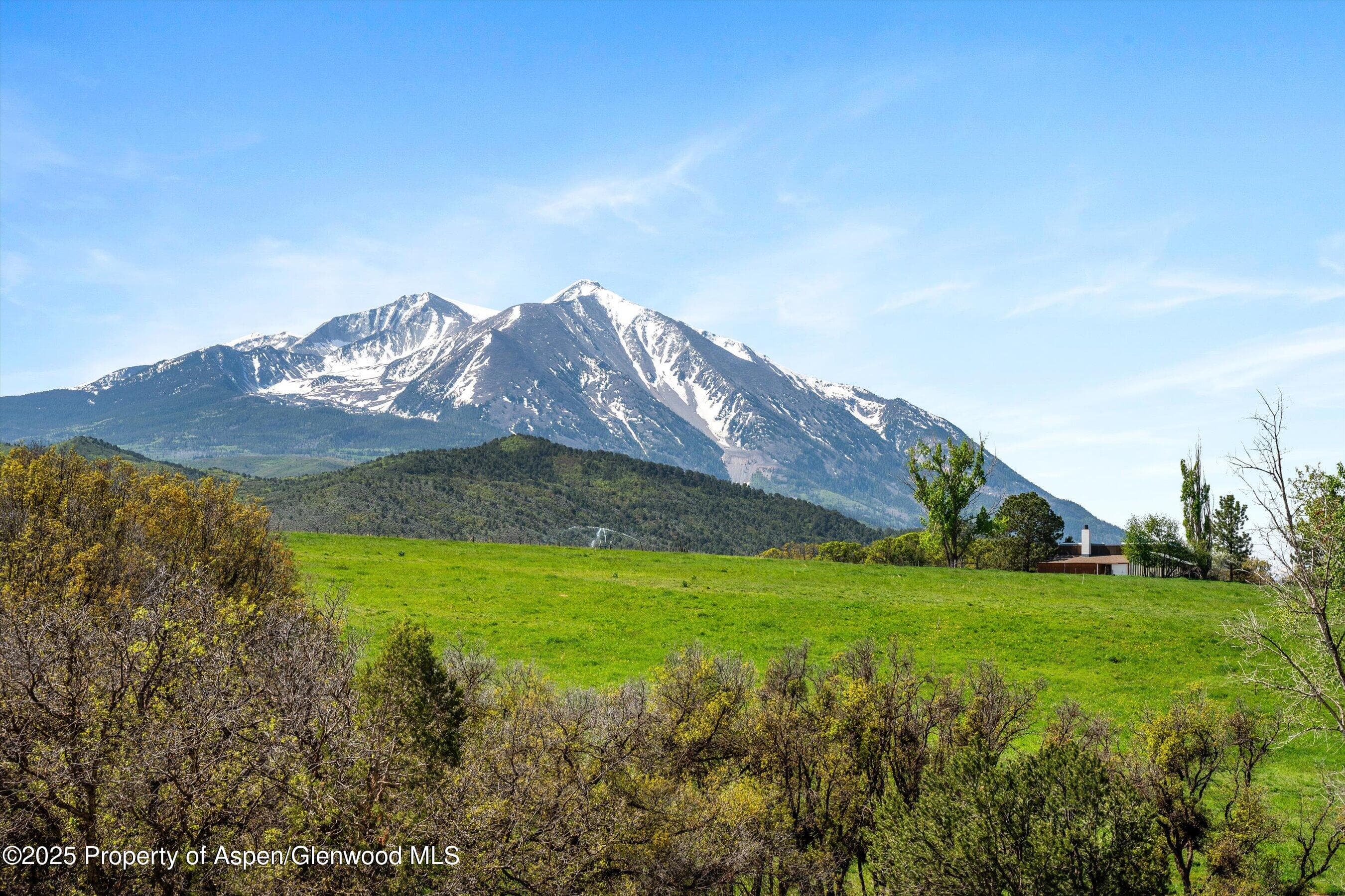 1634 Prince Creek Road, Carbondale, CO 81623 - Photo 11