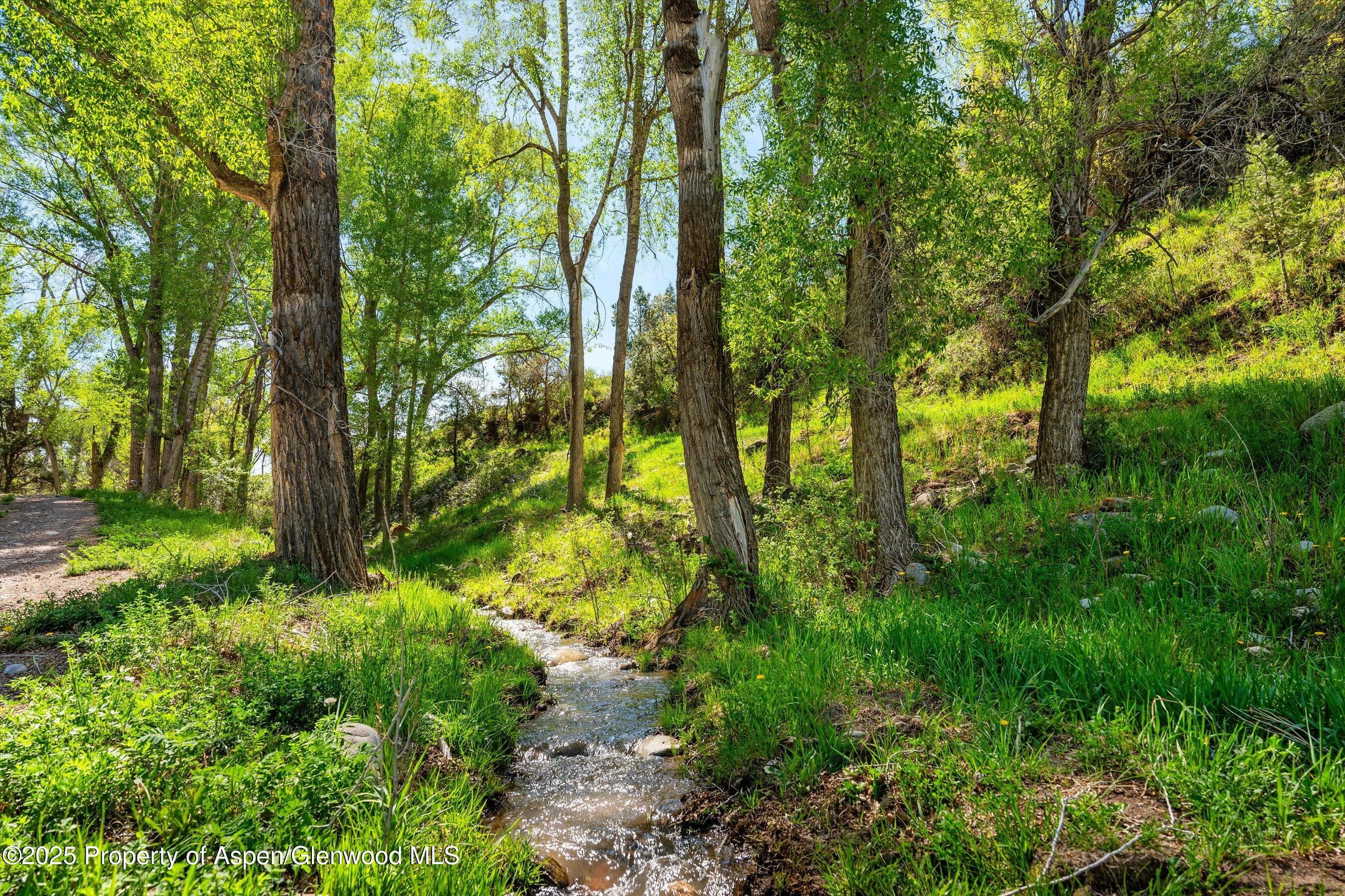 1634 Prince Creek Road, Carbondale, CO 81623 - Photo 8