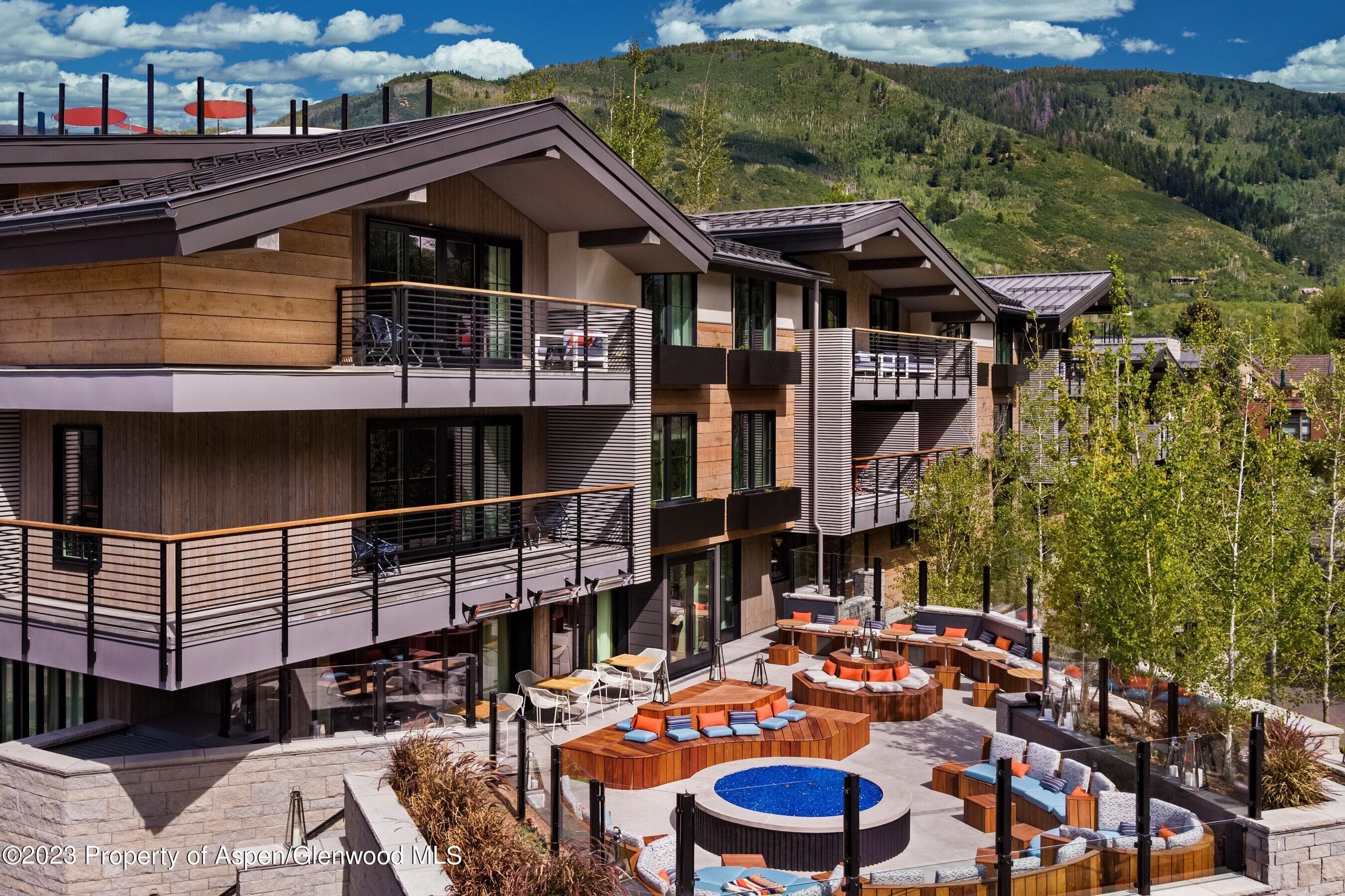 550 S Spring Street F10 1-10, Aspen, CO 81611 - Photo 48