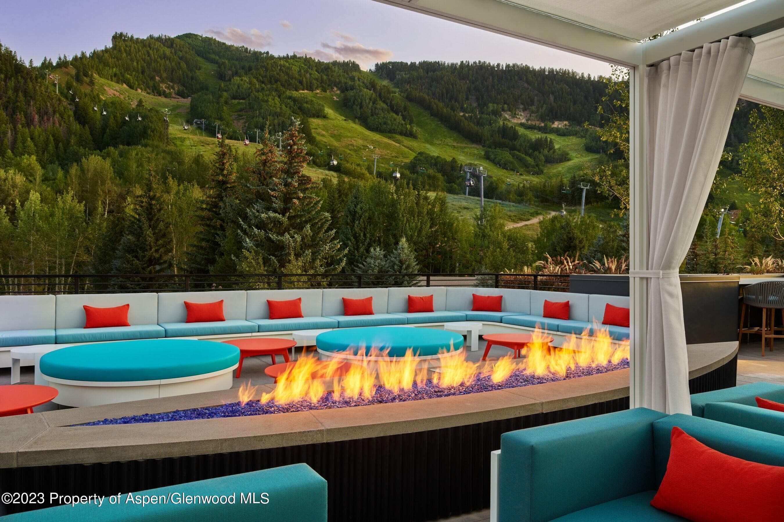 550 S Spring Street F10 1-10, Aspen, CO 81611 - Photo 49