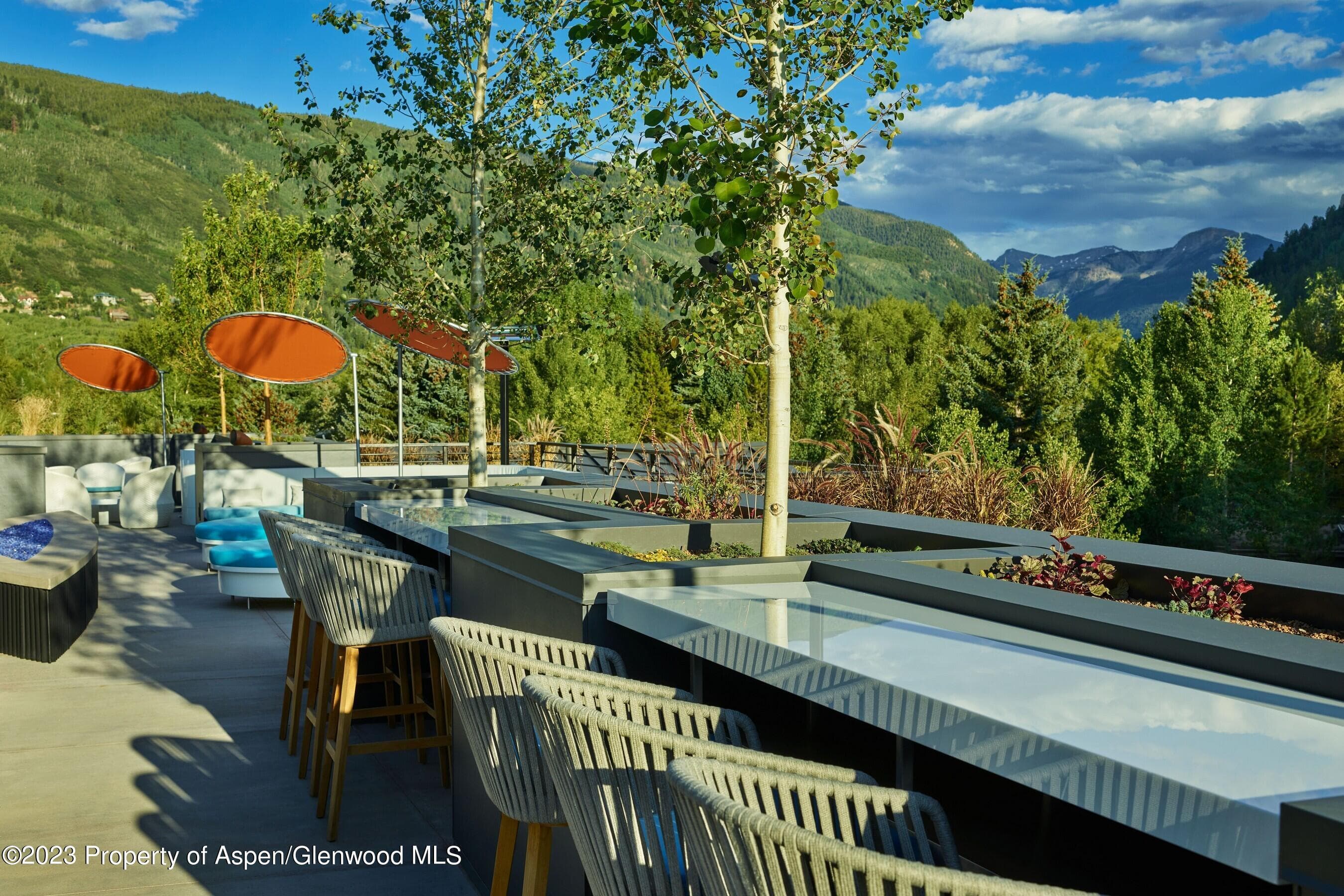 550 S Spring Street F10 1-10, Aspen, CO 81611 - Photo 52