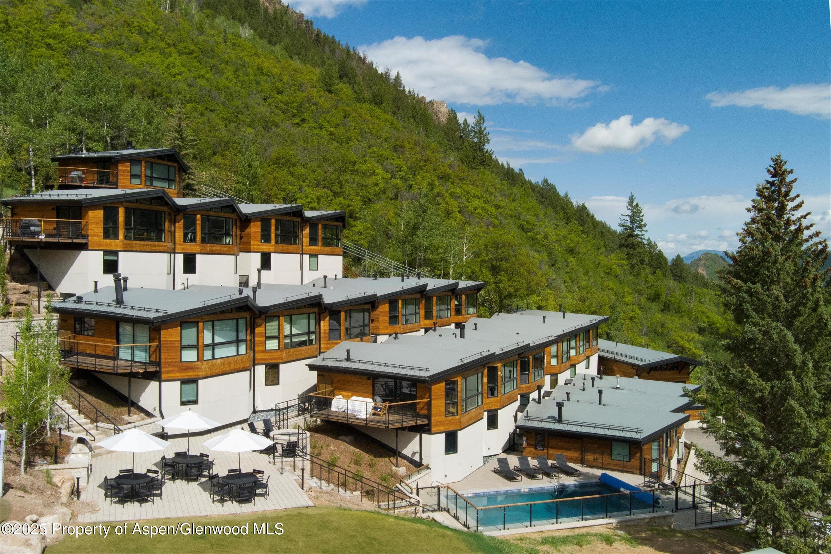 809 S Aspen Street 17, Aspen, CO 81611 - Photo 26
