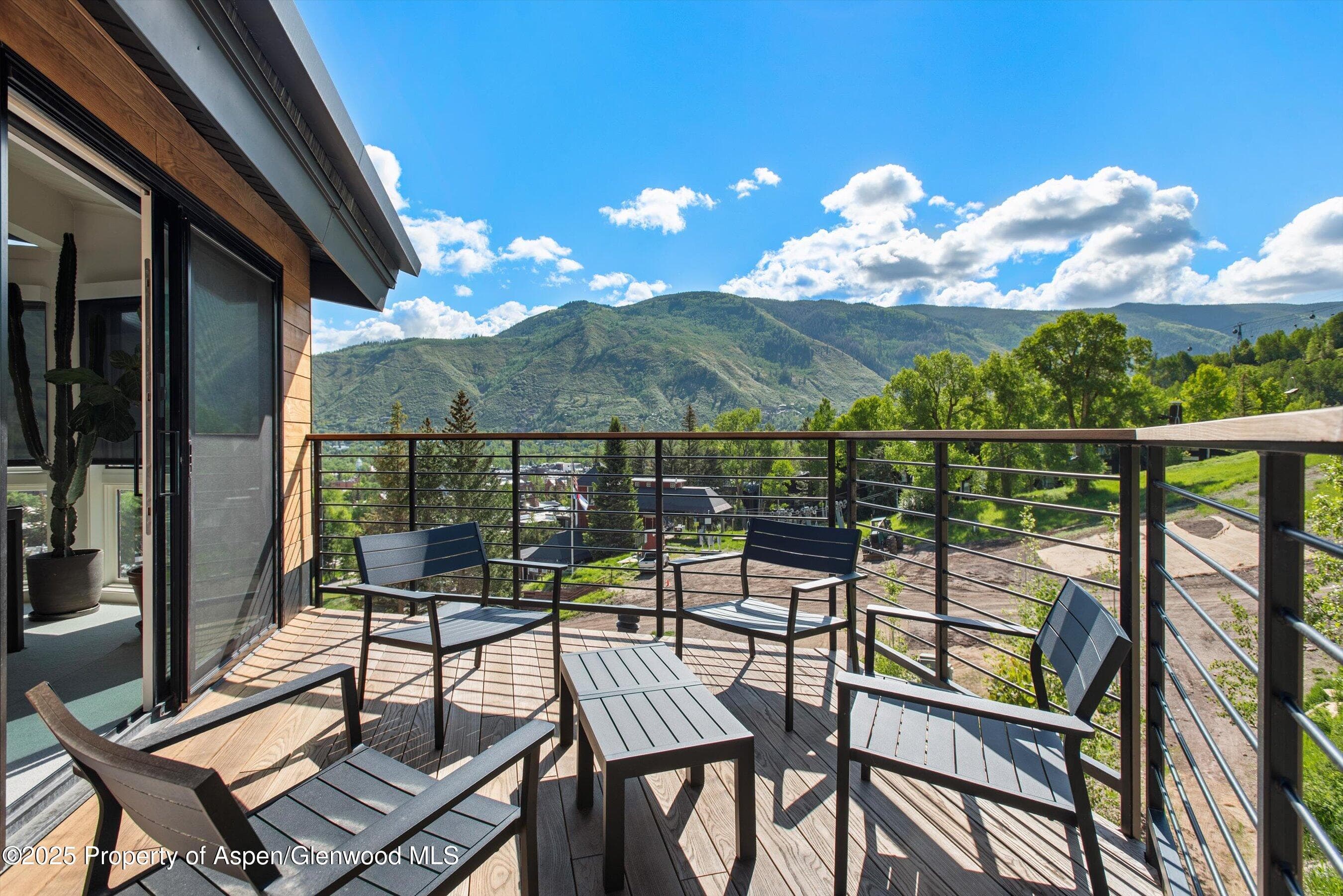 809 S Aspen Street 17, Aspen, CO 81611 - Photo 17