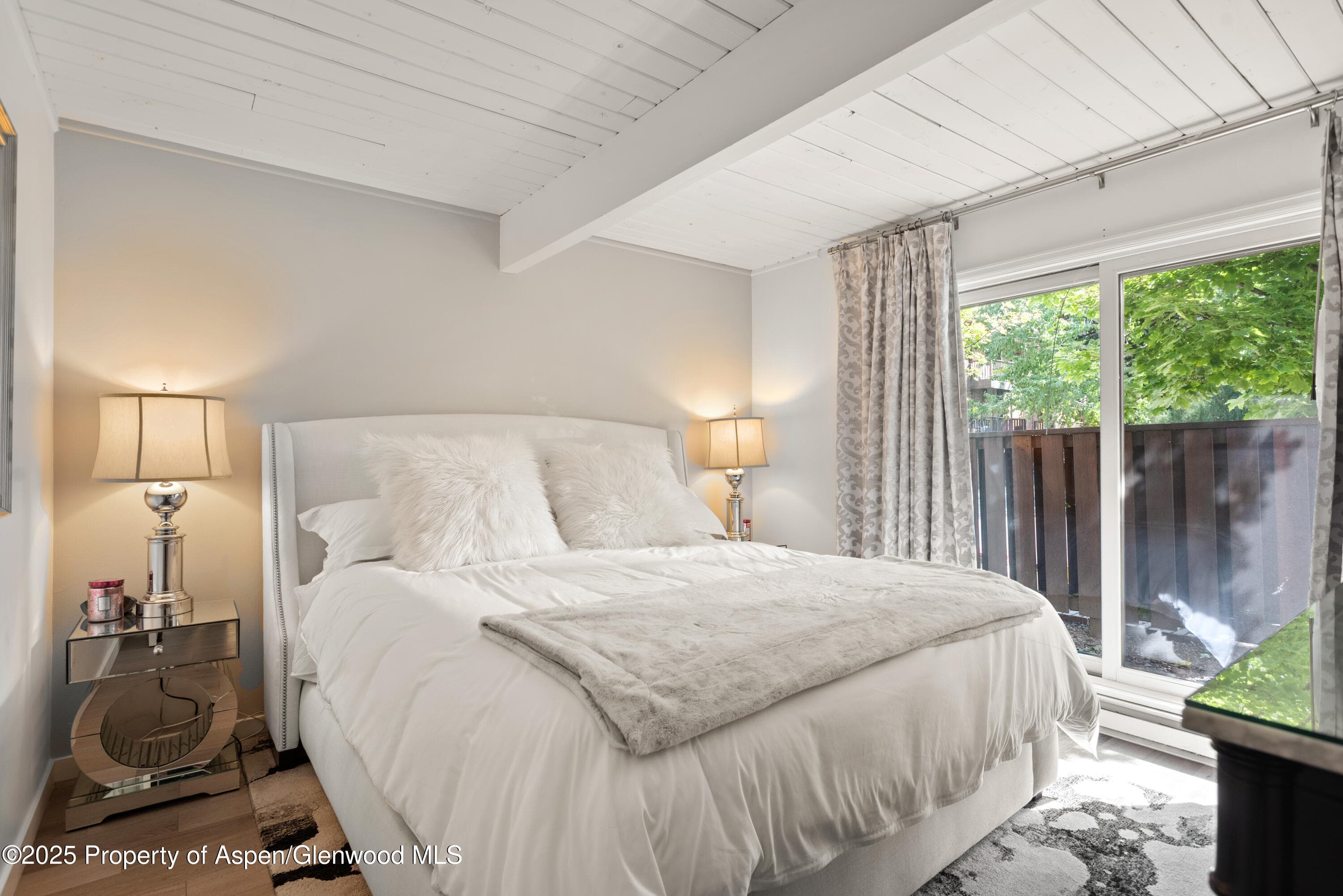 630 E Cooper Avenue 4, Aspen, CO 81611 - Photo 8