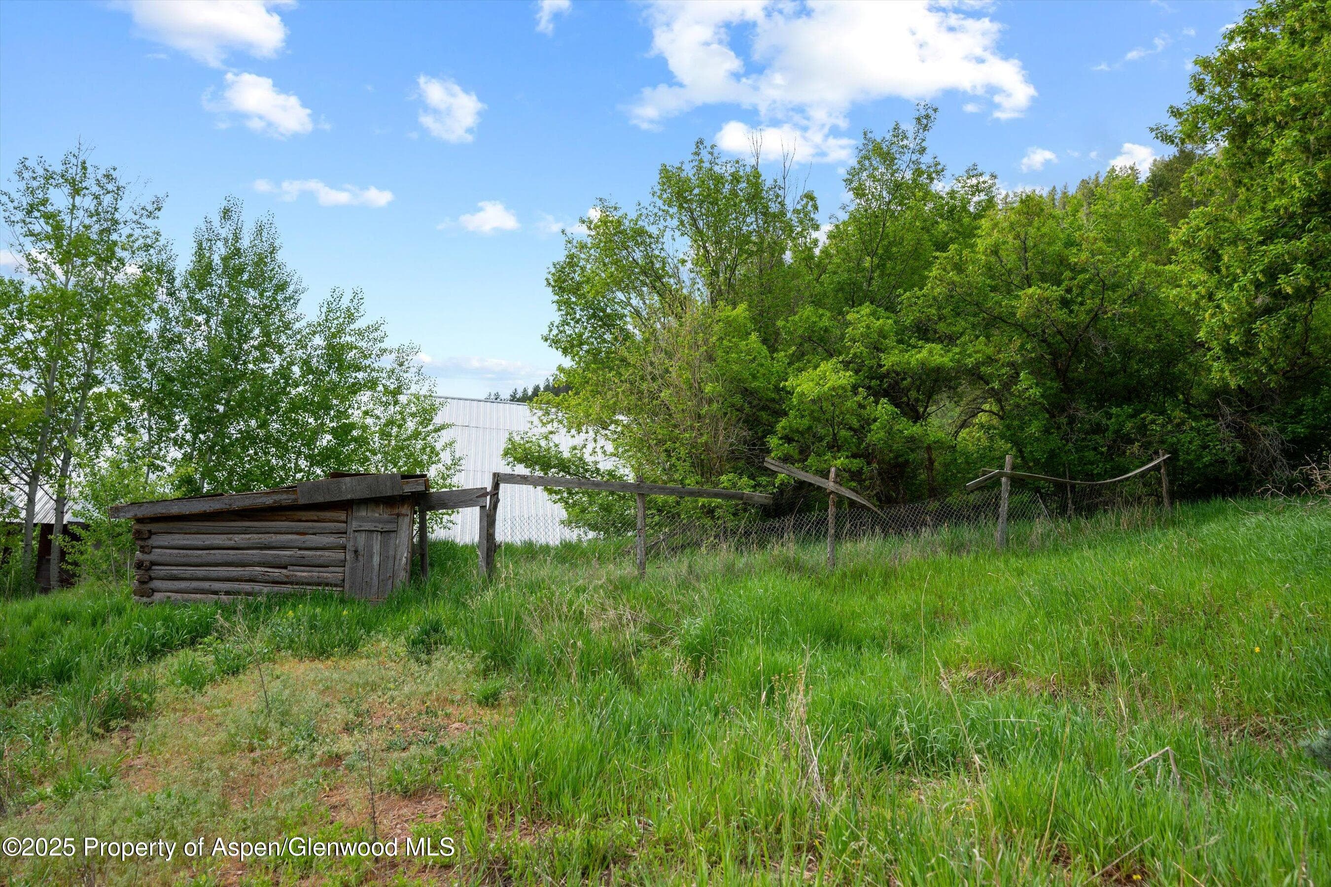 10715 County Road 245, New Castle, CO 81647 - Photo 6