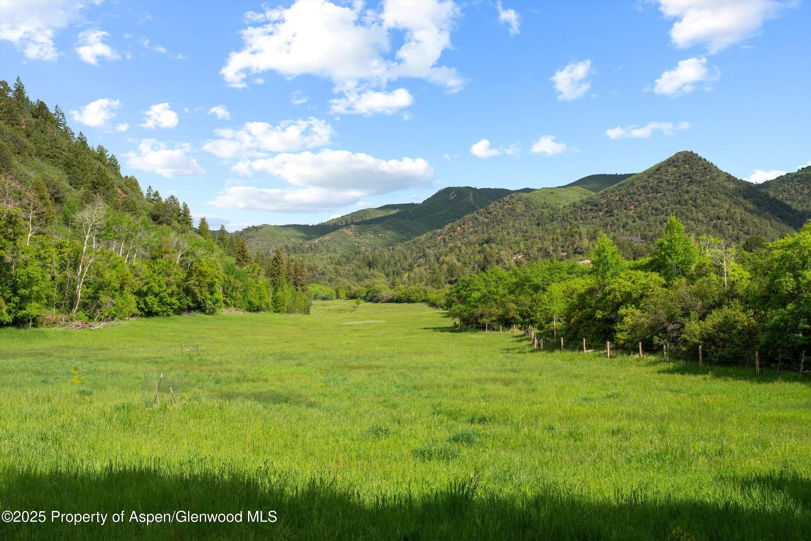 10715 County Road 245, New Castle, CO 81647 - Photo 11
