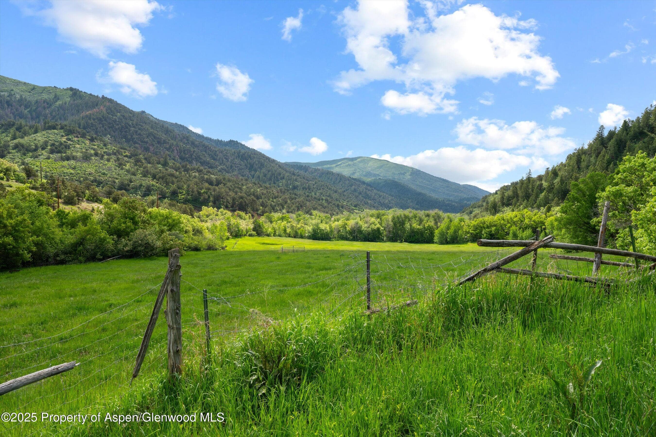 10715 County Road 245, New Castle, CO 81647 - Photo 12