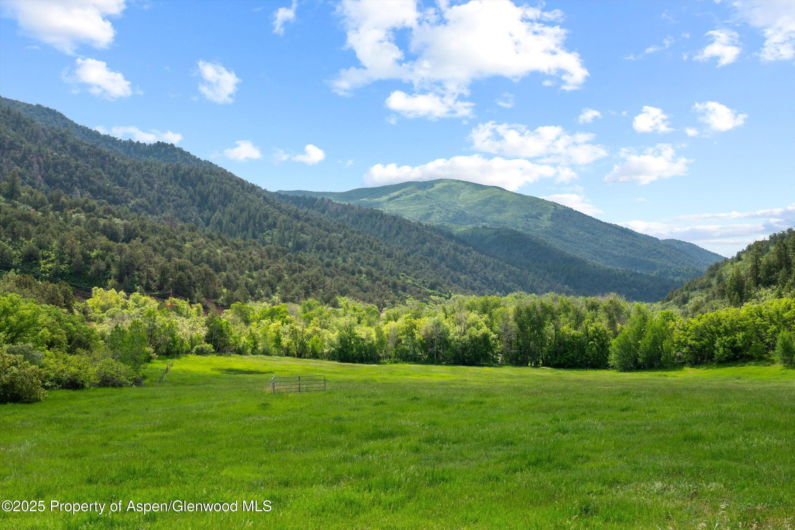10715 County Road 245, New Castle, CO 81647 - Photo 13