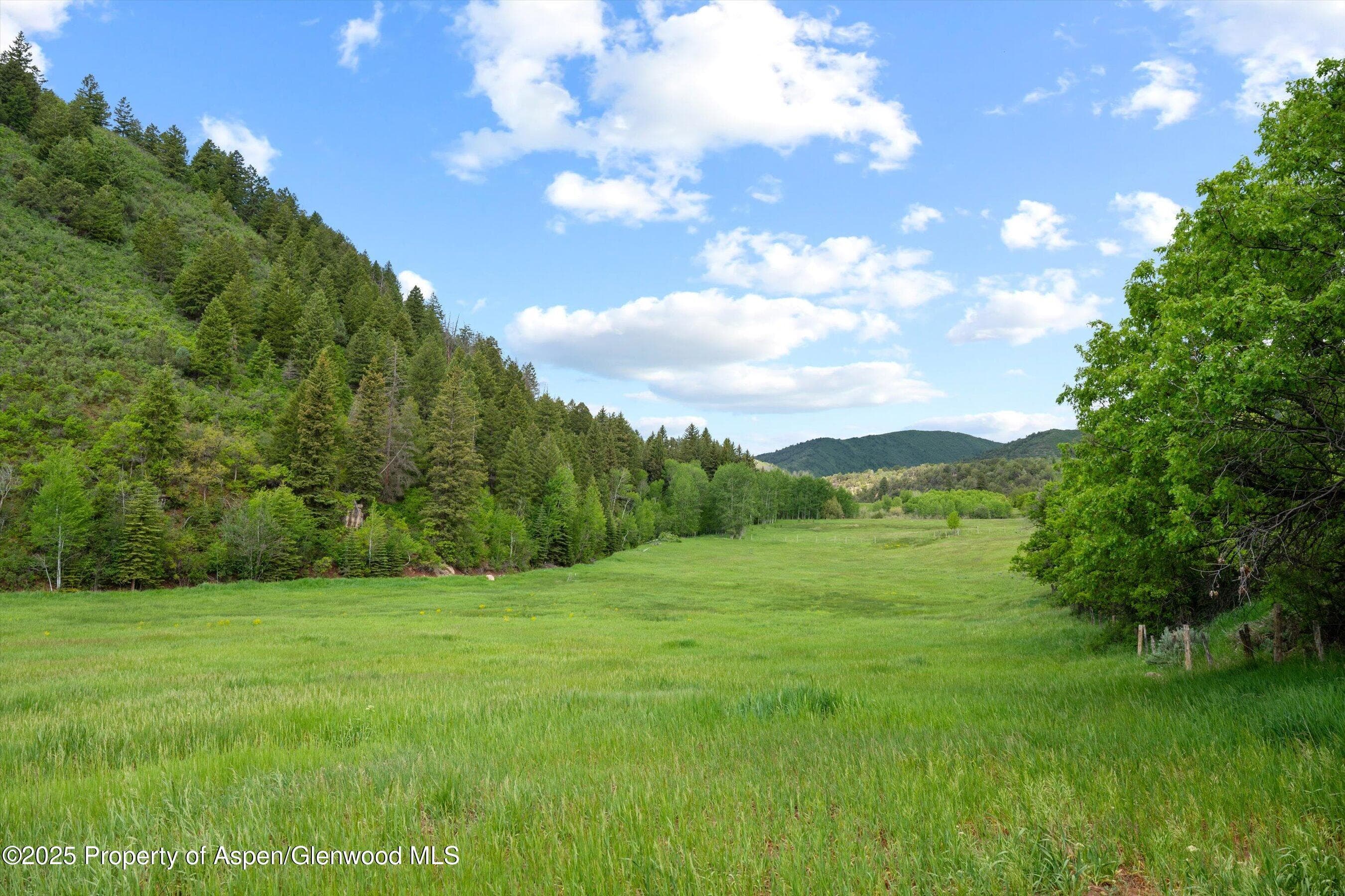 10715 County Road 245, New Castle, CO 81647 - Photo 14