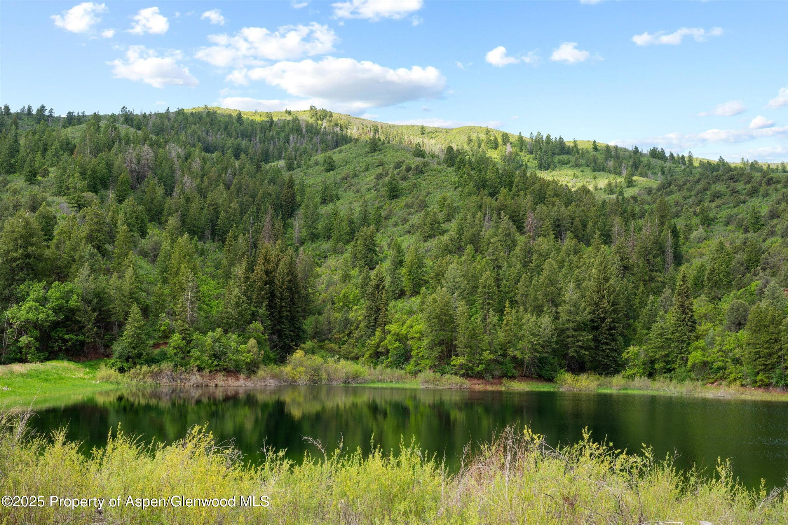 10715 County Road 245, New Castle, CO 81647 - Photo 15