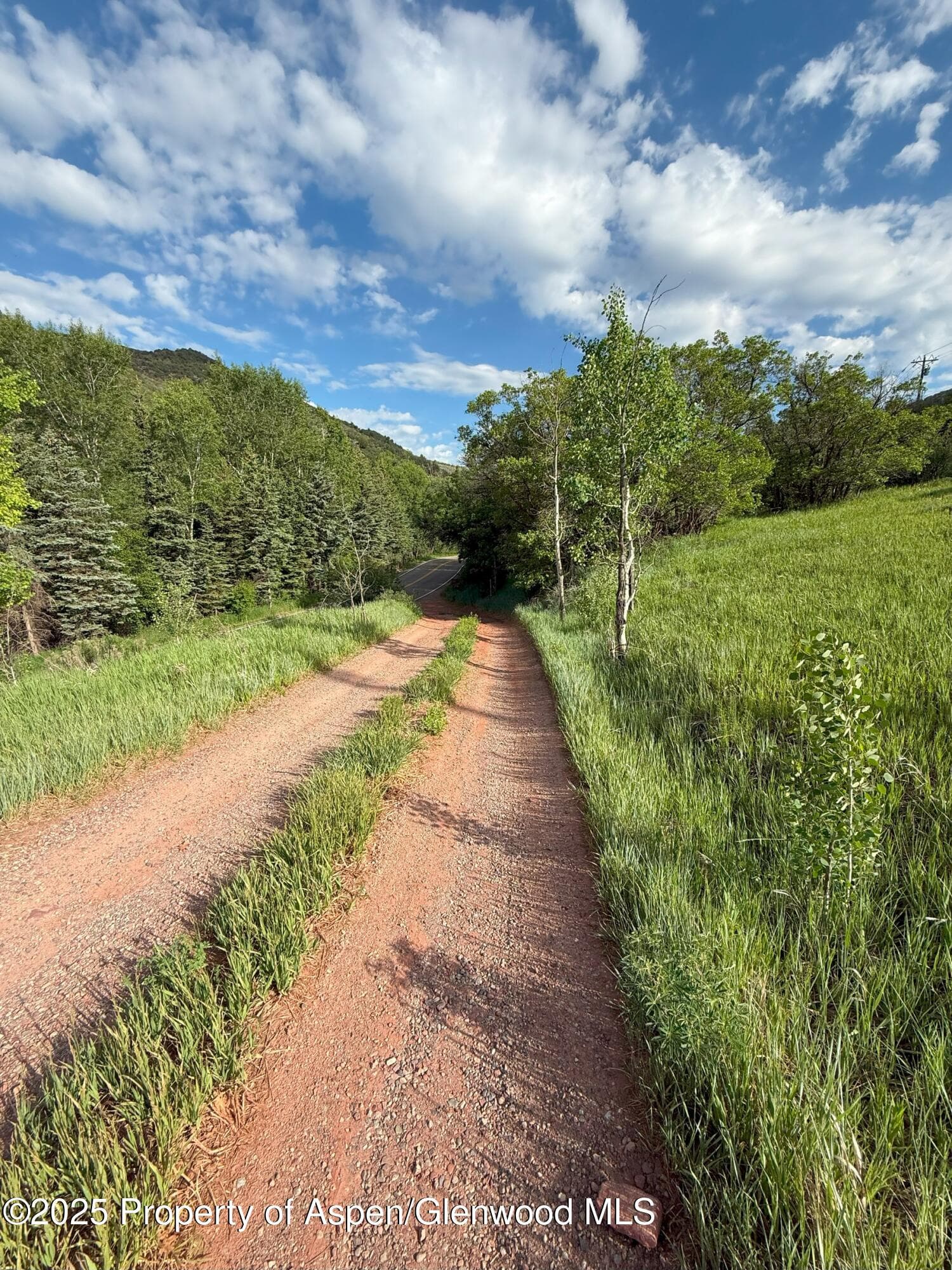 354 Snowmass Creek Road, Snowmass, CO 81654 - Photo 30