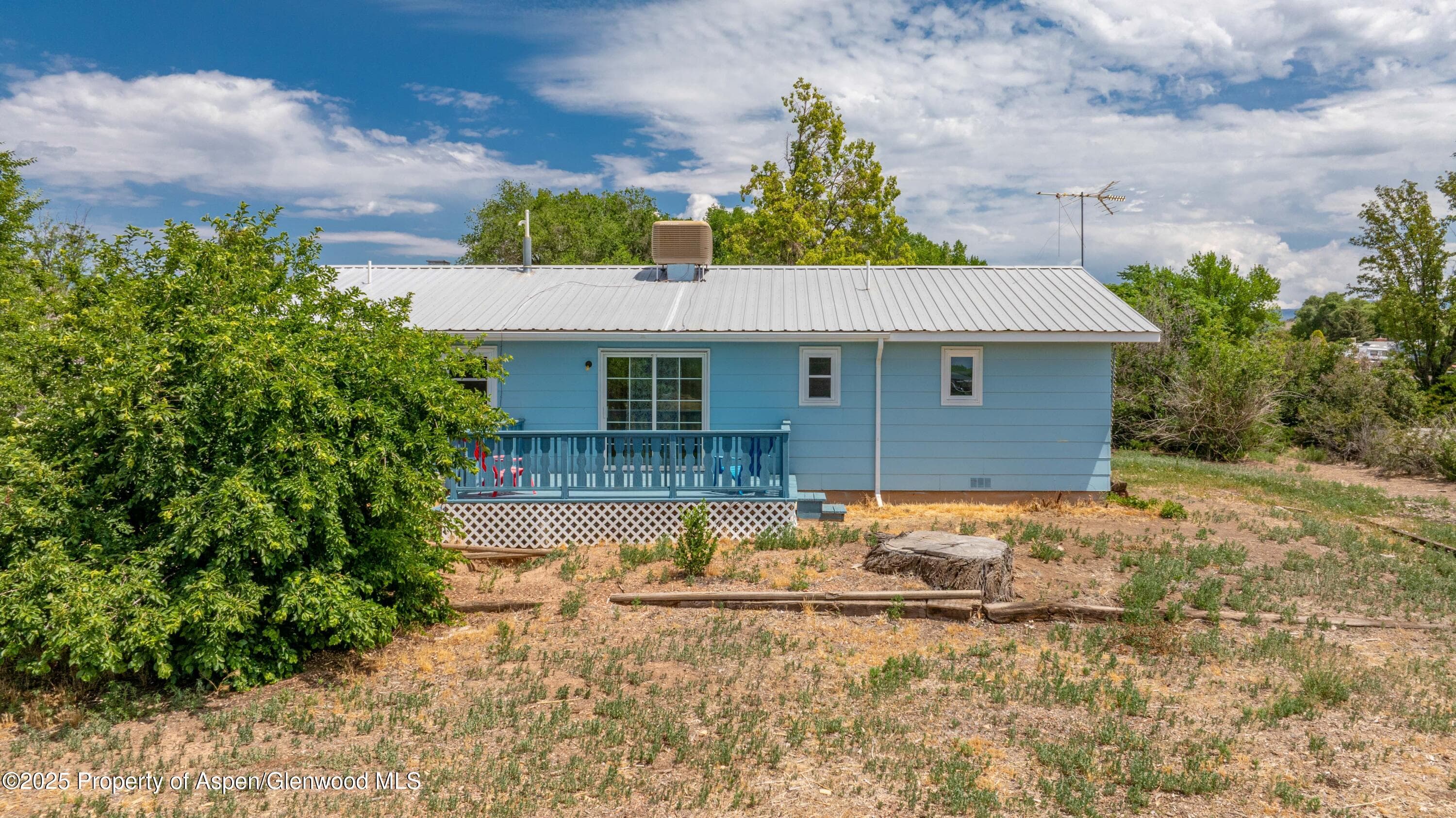 12303 West Spring Circle, Eckert, CO 81418 - Photo 15