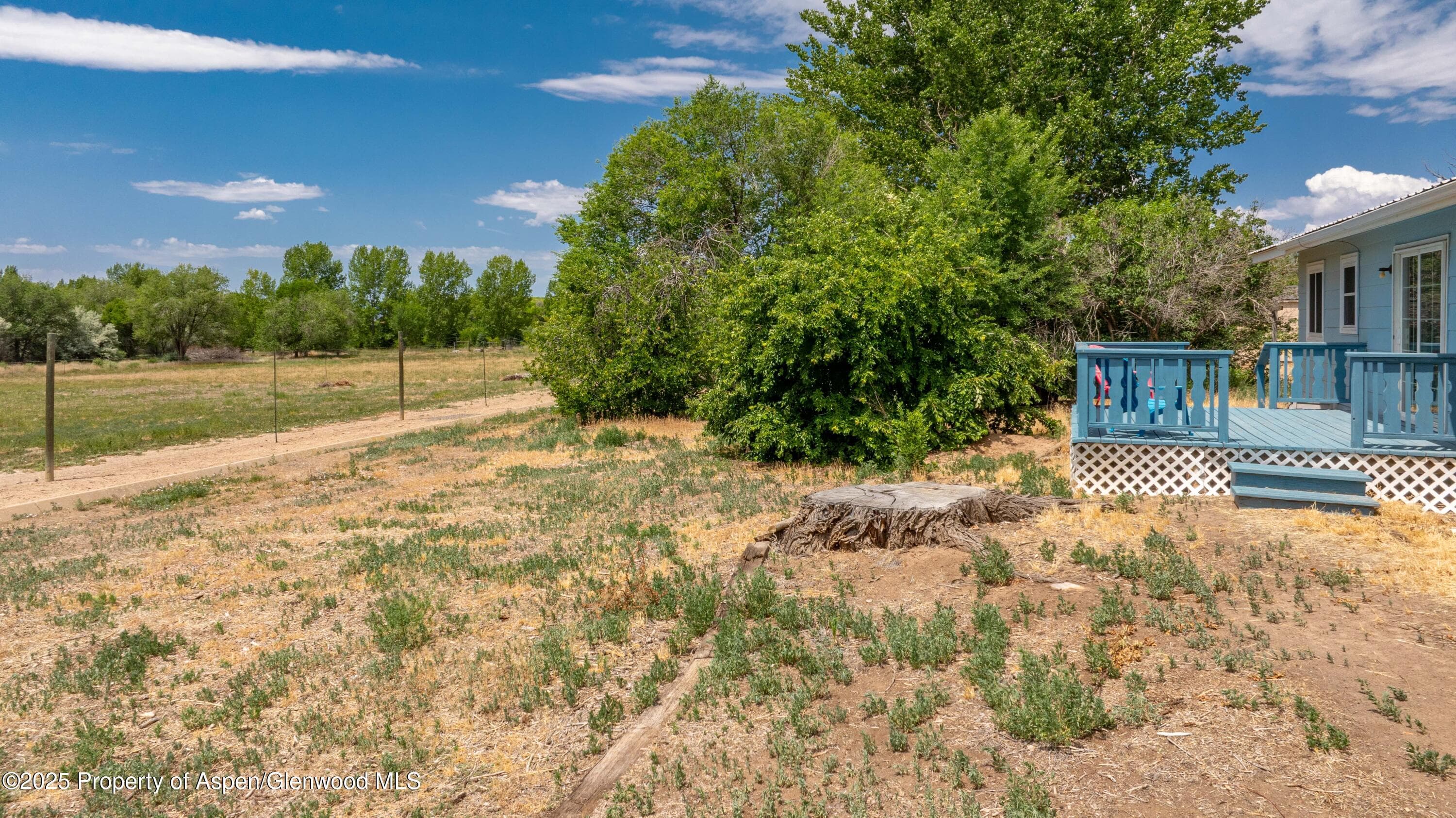 12303 West Spring Circle, Eckert, CO 81418 - Photo 18