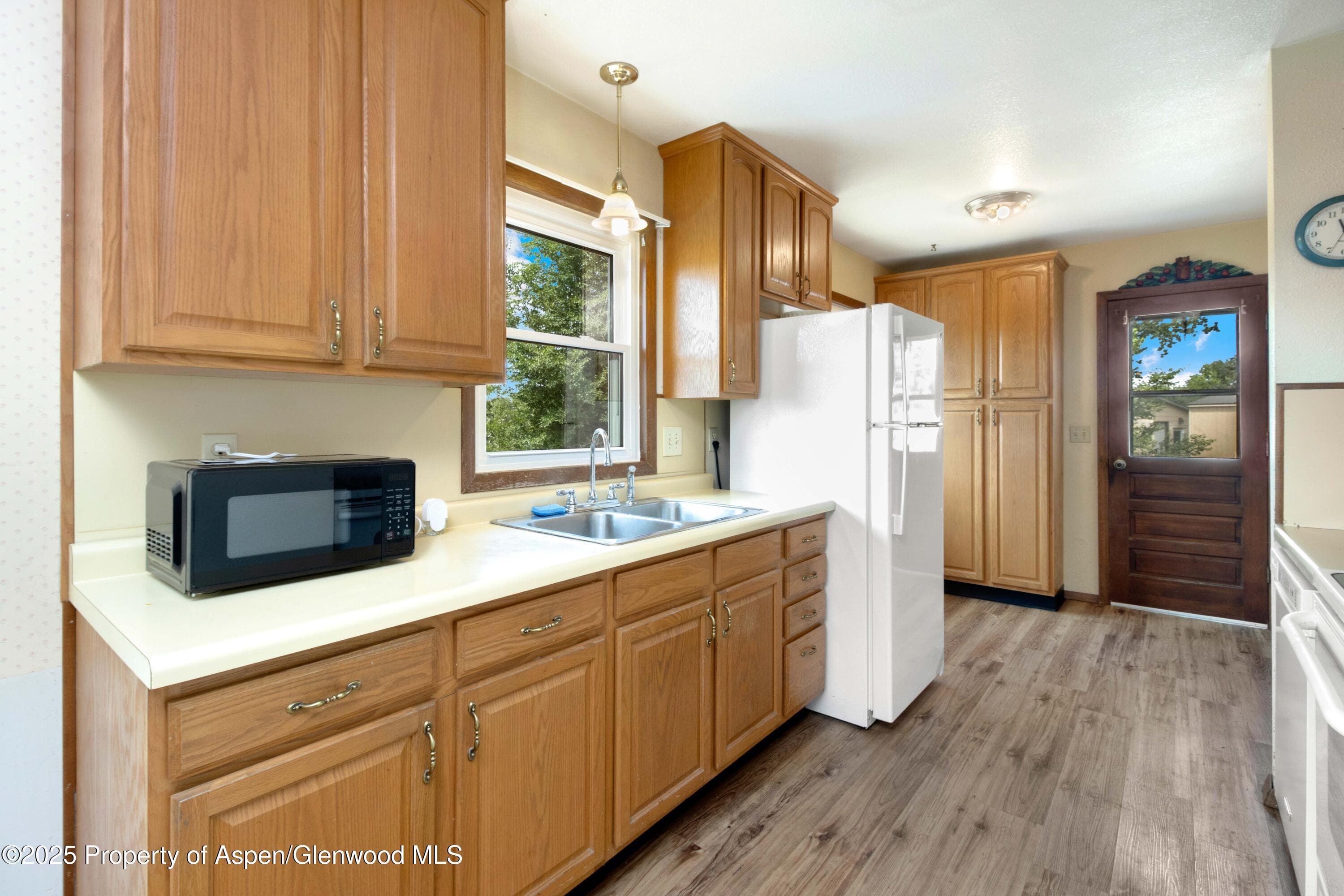 12303 West Spring Circle, Eckert, CO 81418 - Photo 14