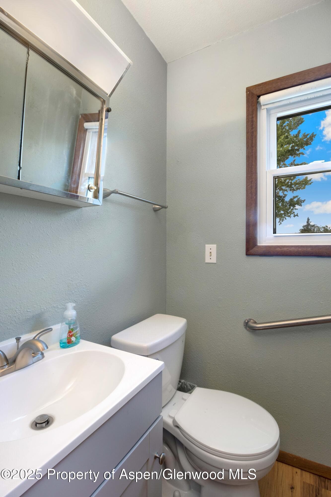 12303 West Spring Circle, Eckert, CO 81418 - Photo 10