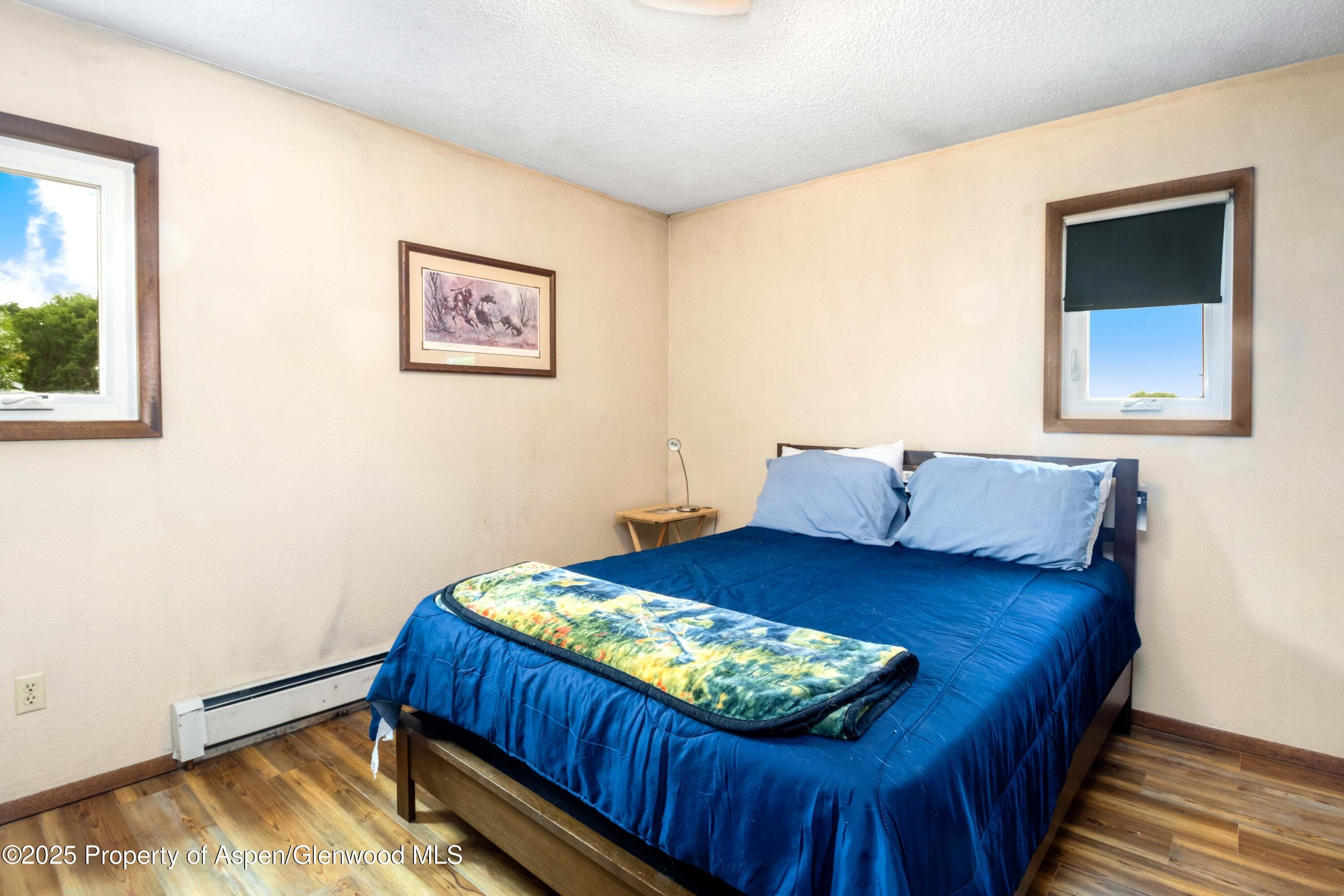 12303 West Spring Circle, Eckert, CO 81418 - Photo 7