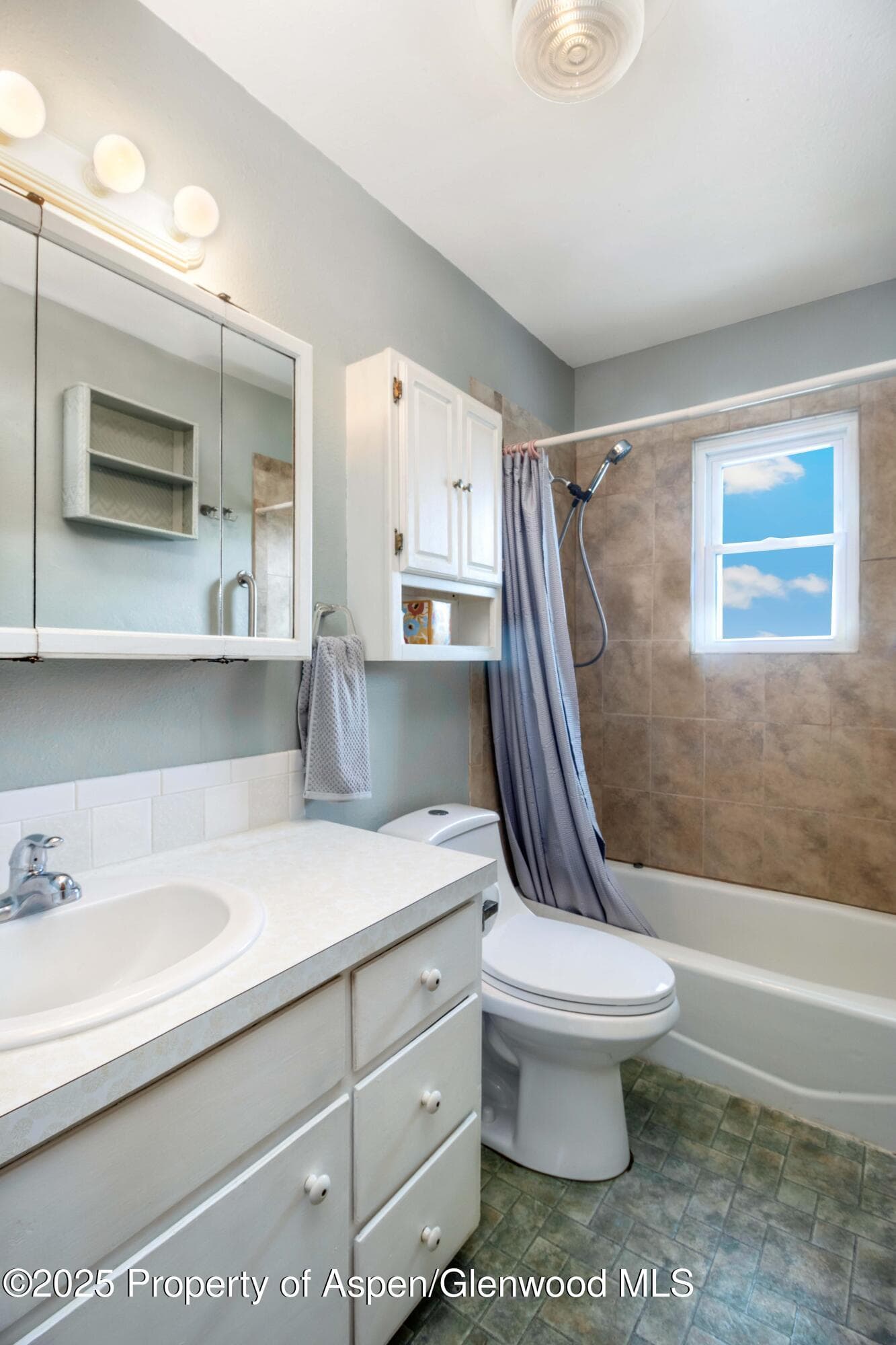 12303 West Spring Circle, Eckert, CO 81418 - Photo 11