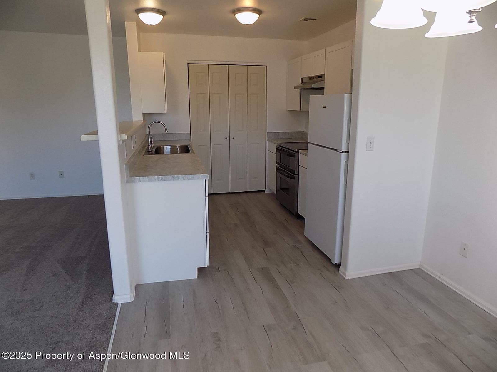 33 Angelica Circle, Parachute, CO 81635 - Photo 3