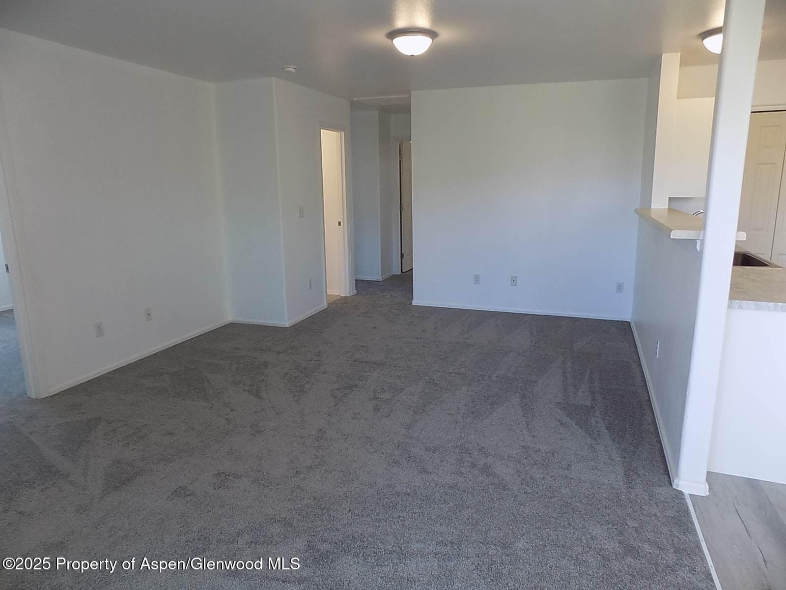 33 Angelica Circle, Parachute, CO 81635 - Photo 4