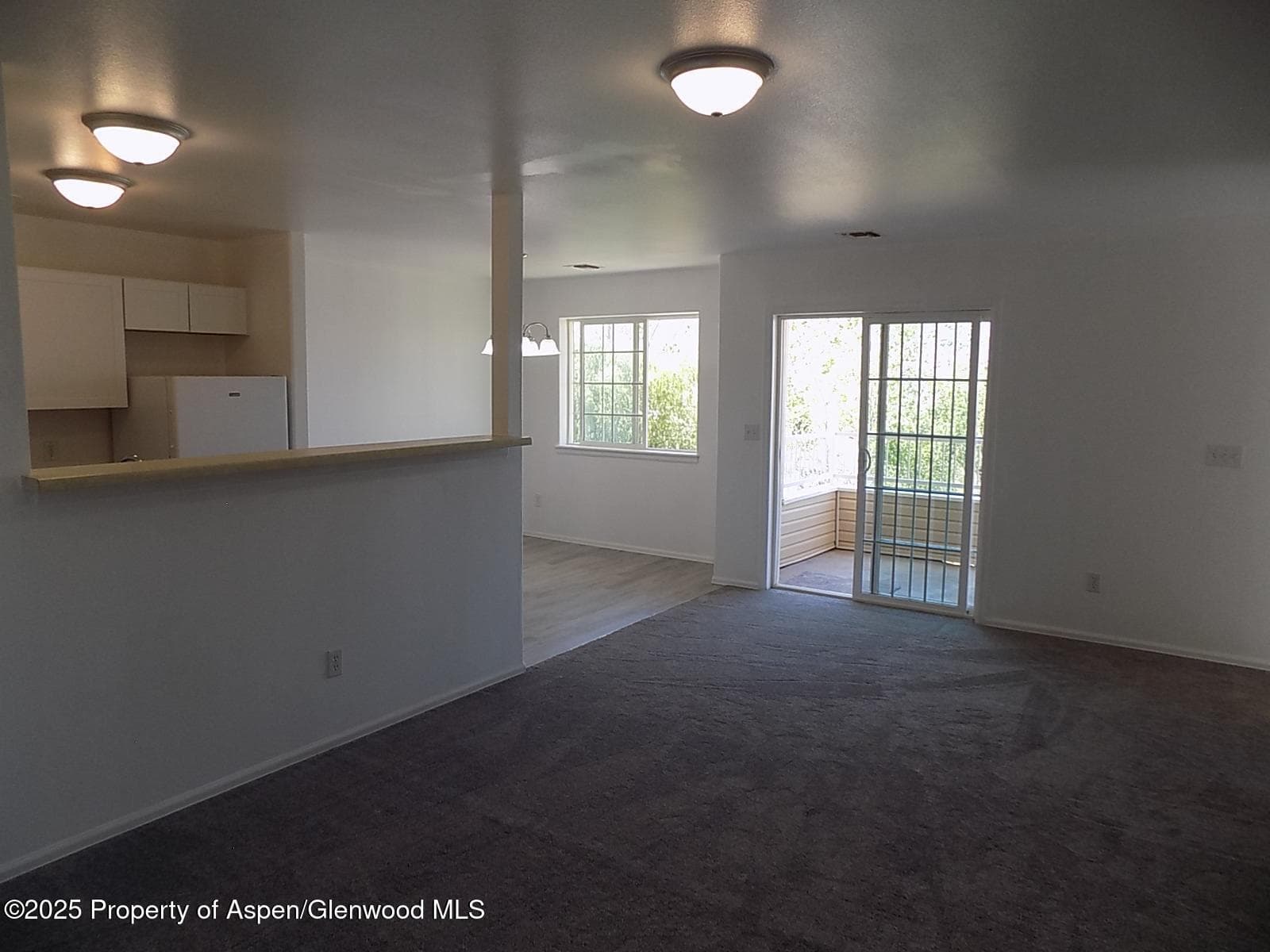 33 Angelica Circle, Parachute, CO 81635 - Photo 5