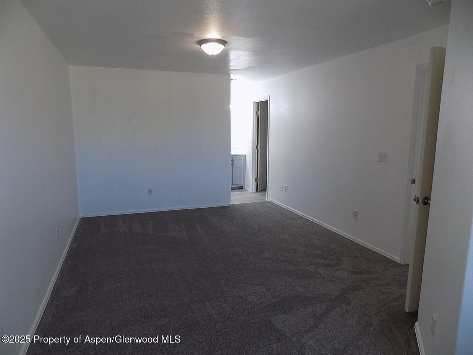 33 Angelica Circle, Parachute, CO 81635 - Photo 6