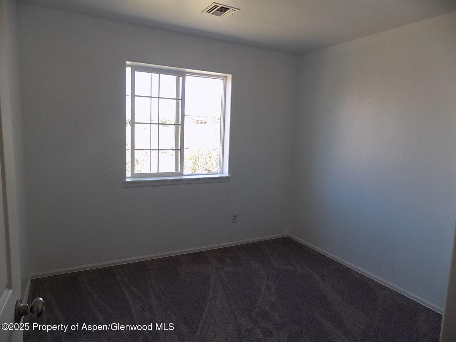 33 Angelica Circle, Parachute, CO 81635 - Photo 9