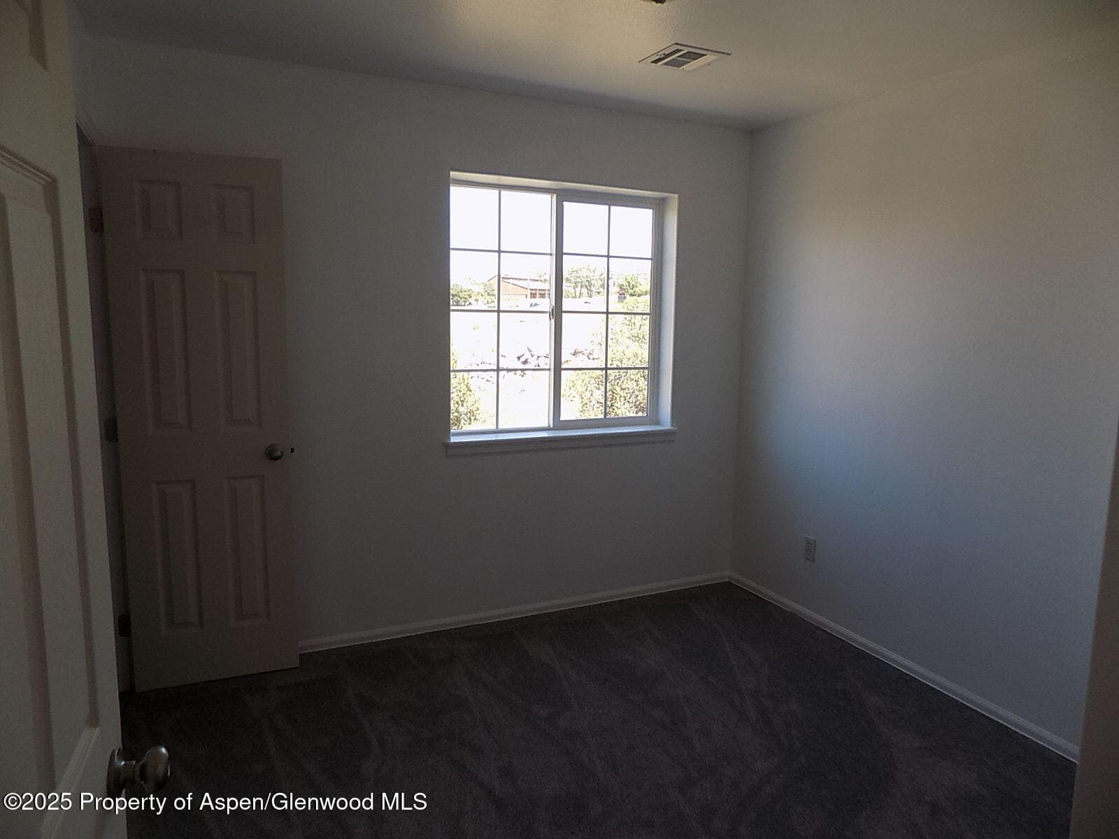 33 Angelica Circle, Parachute, CO 81635 - Photo 10