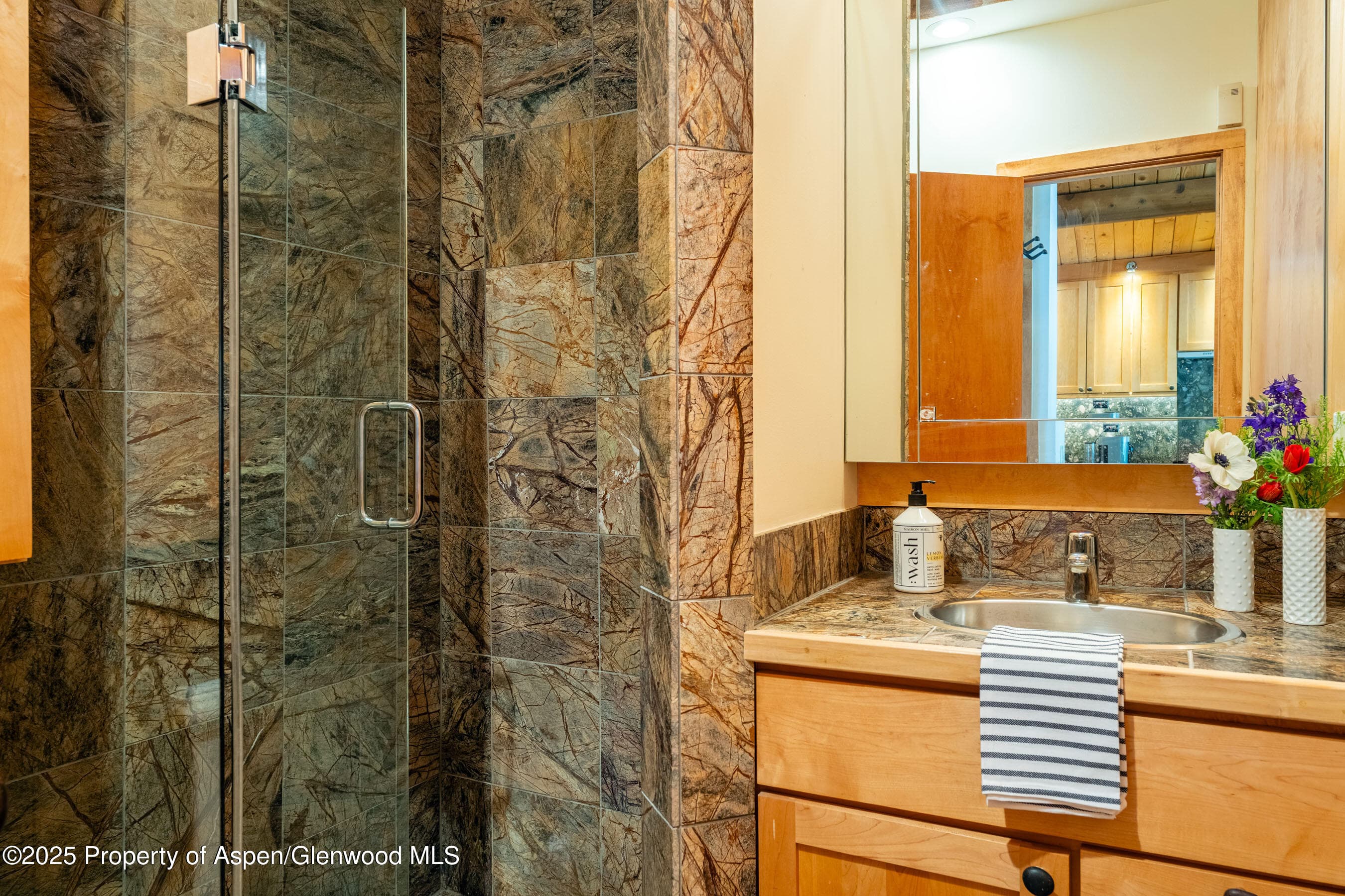 809 S Aspen Street 8, Aspen, CO 81611 - Photo 13