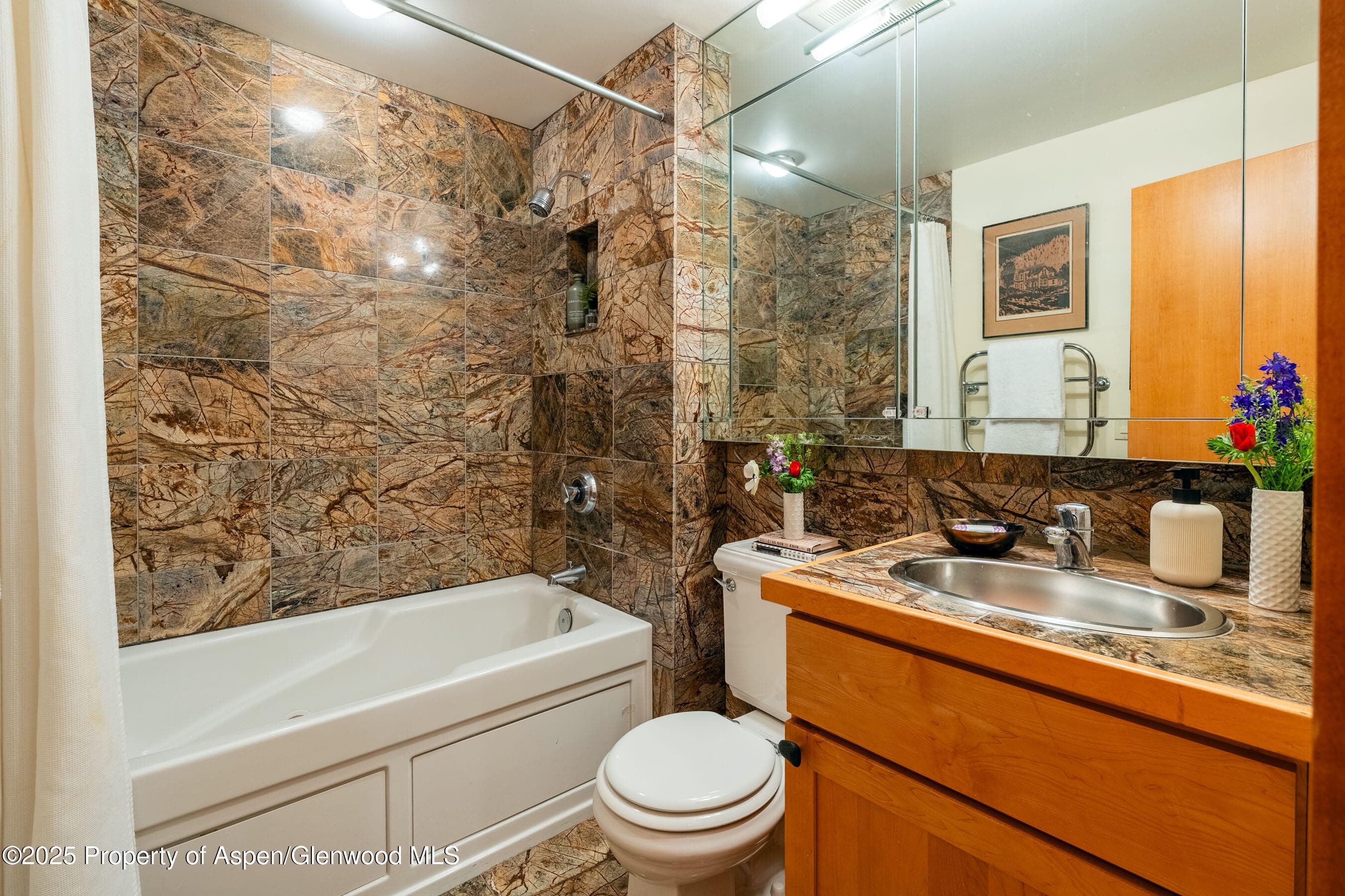 809 S Aspen Street 8, Aspen, CO 81611 - Photo 12