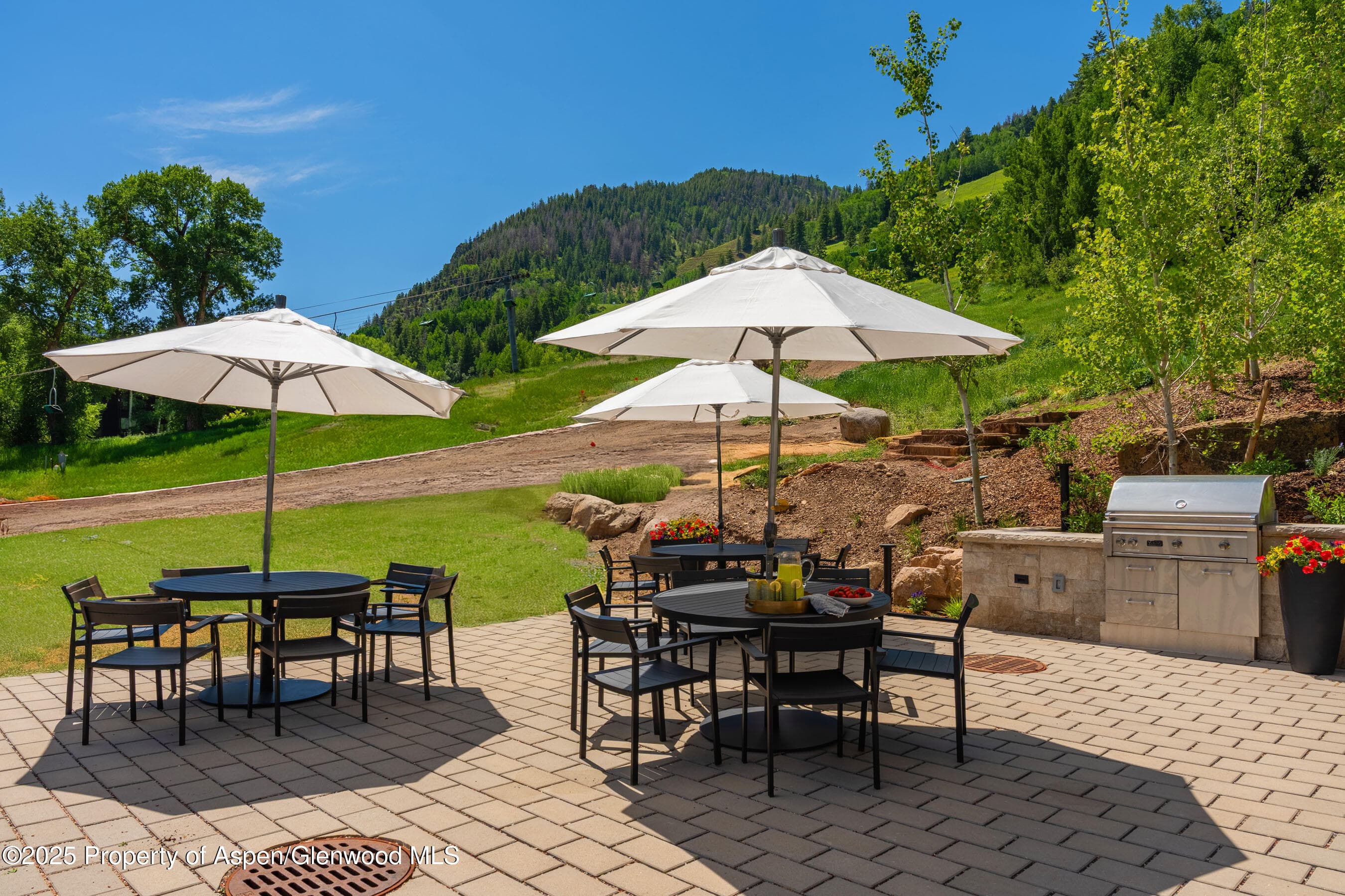 809 S Aspen Street 8, Aspen, CO 81611 - Photo 14