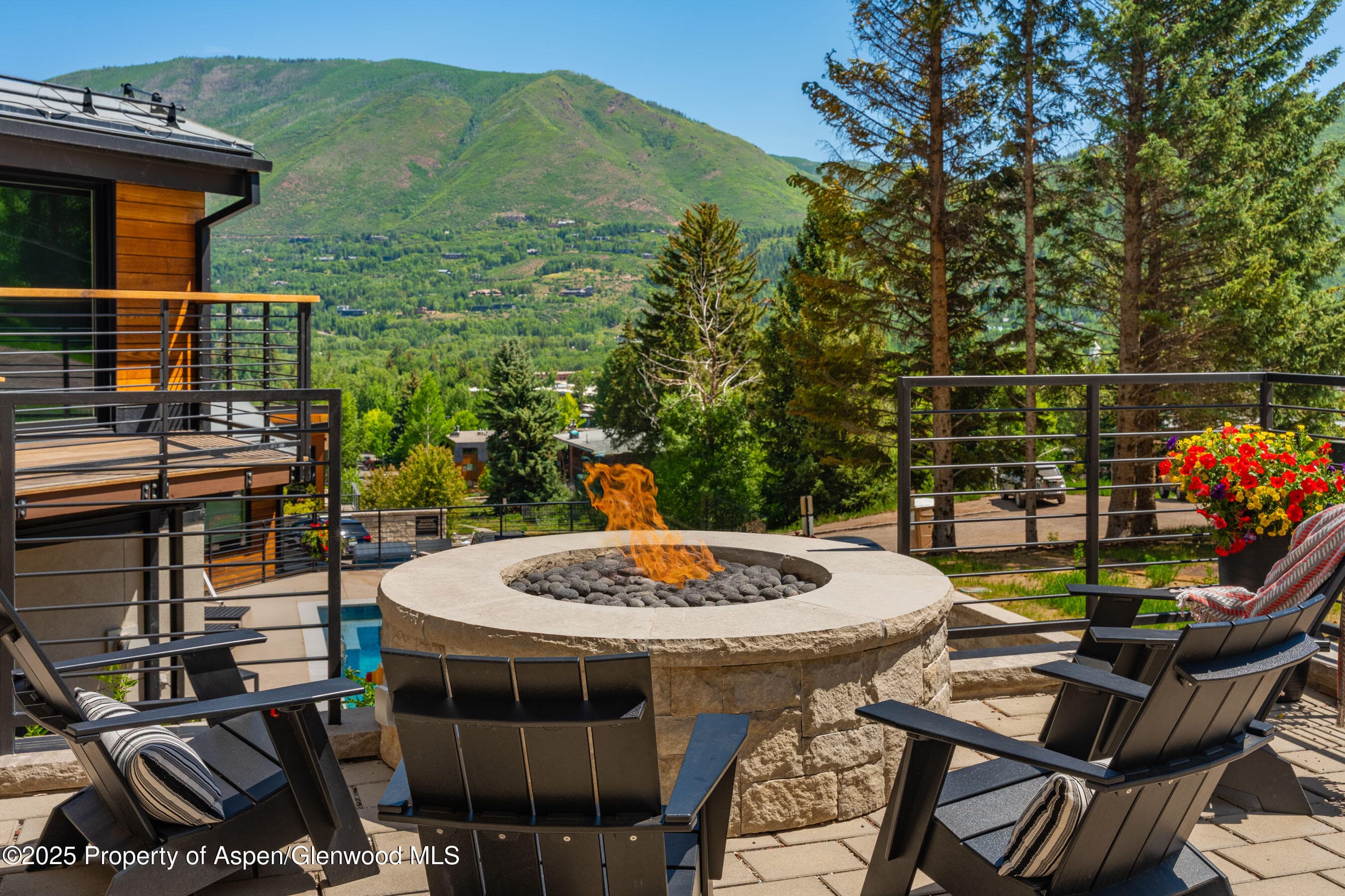 809 S Aspen Street 8, Aspen, CO 81611 - Photo 16