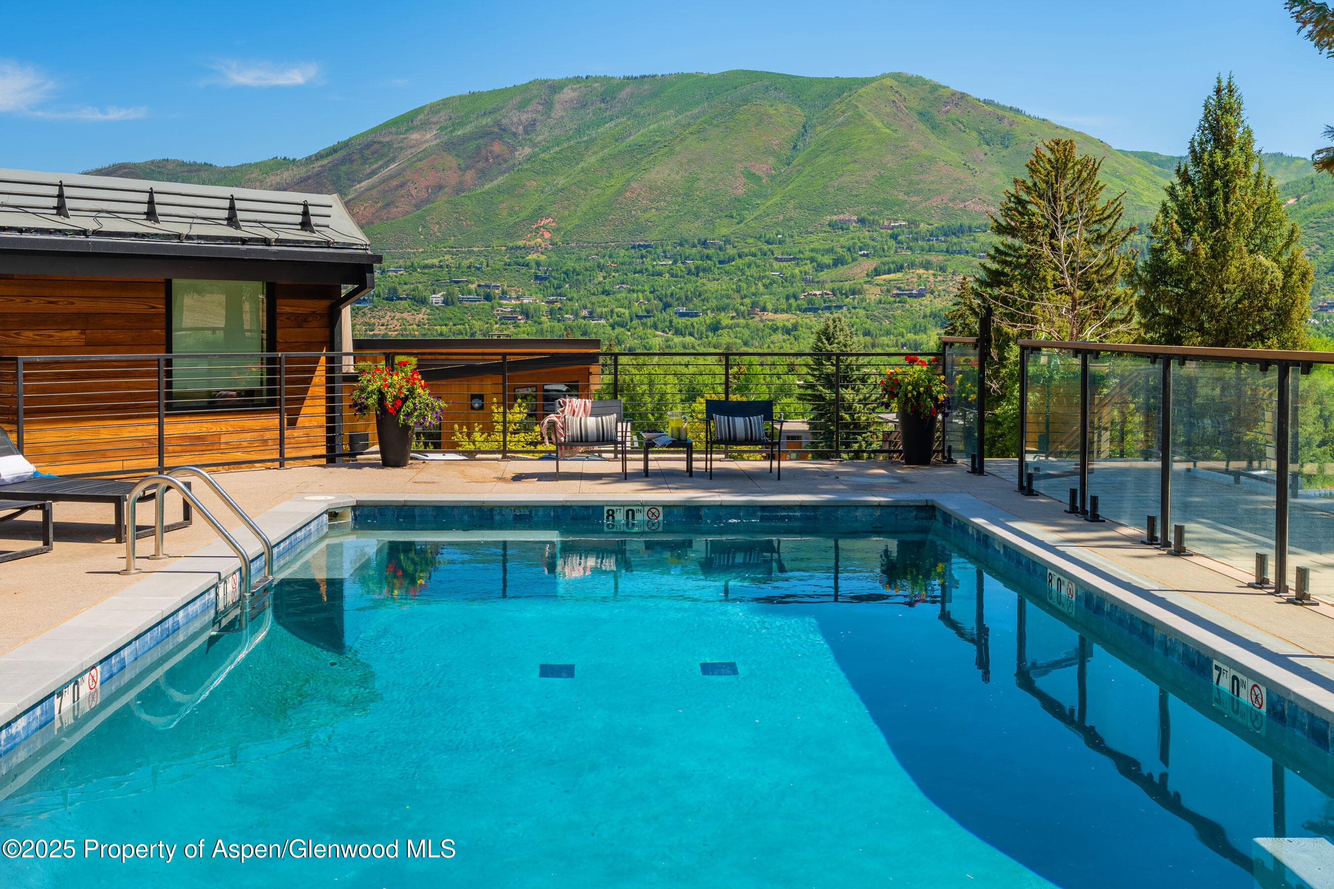 809 S Aspen Street 8, Aspen, CO 81611 - Photo 18