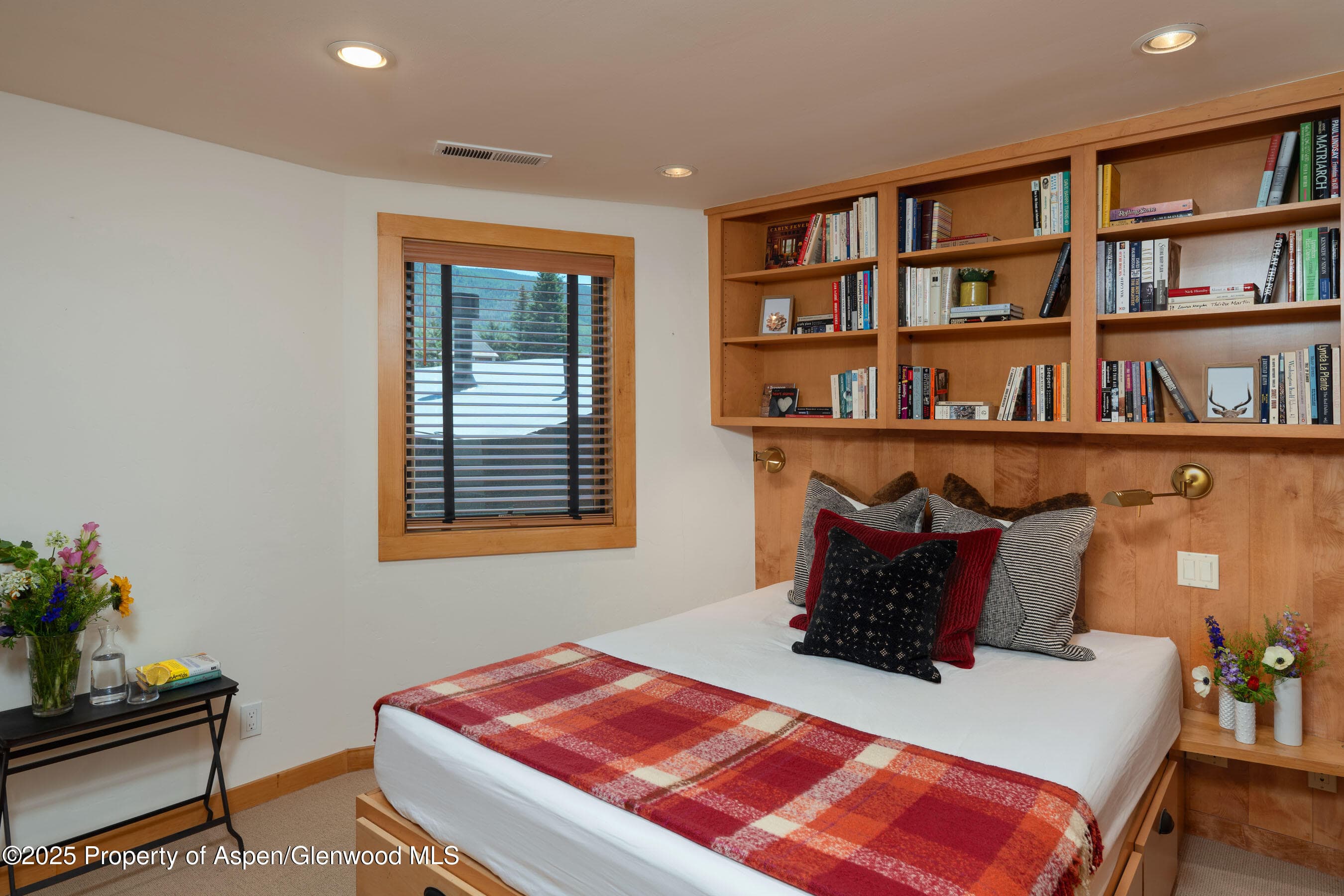 809 S Aspen Street 8, Aspen, CO 81611 - Photo 10