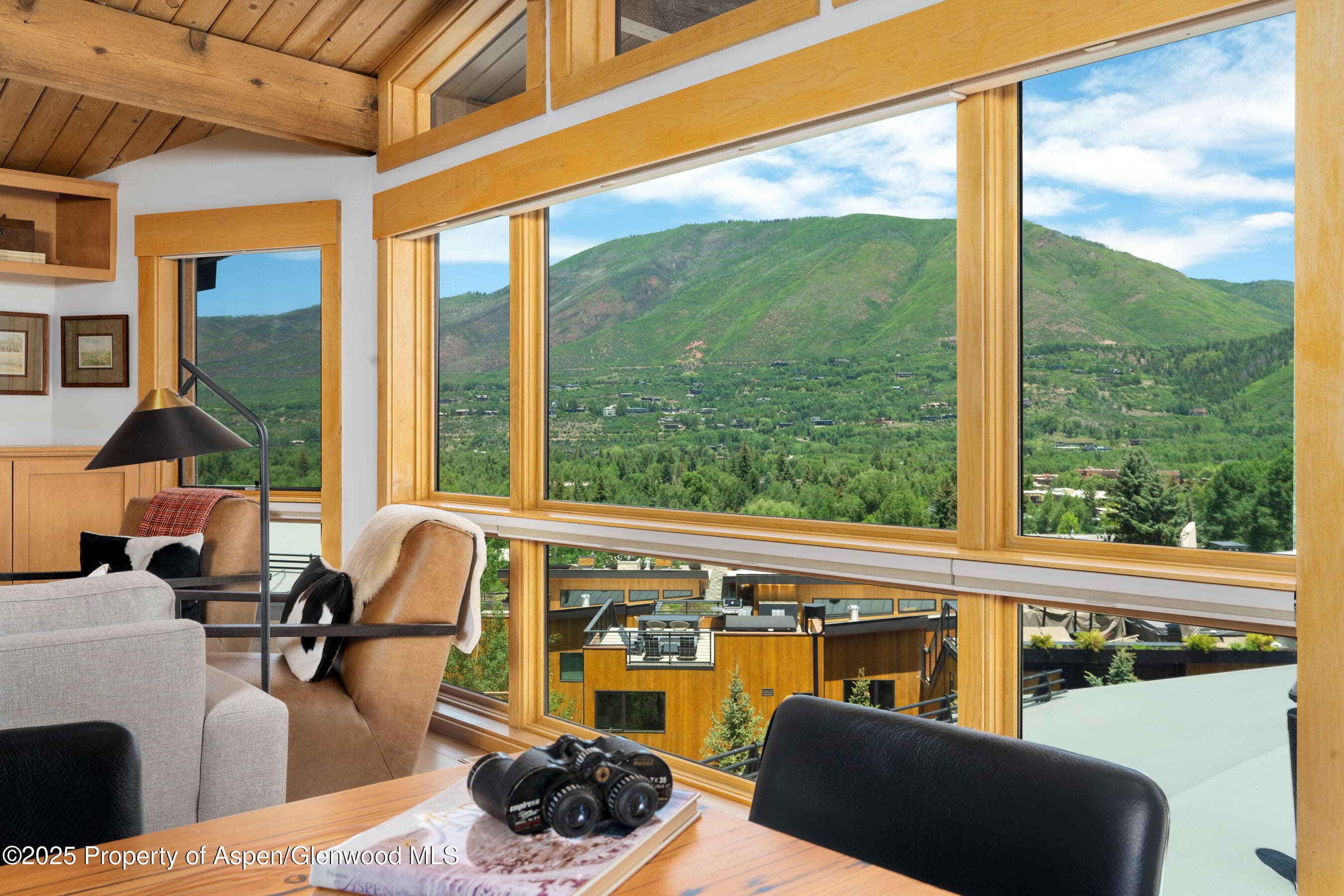 809 S Aspen Street 8, Aspen, CO 81611 - Photo 3