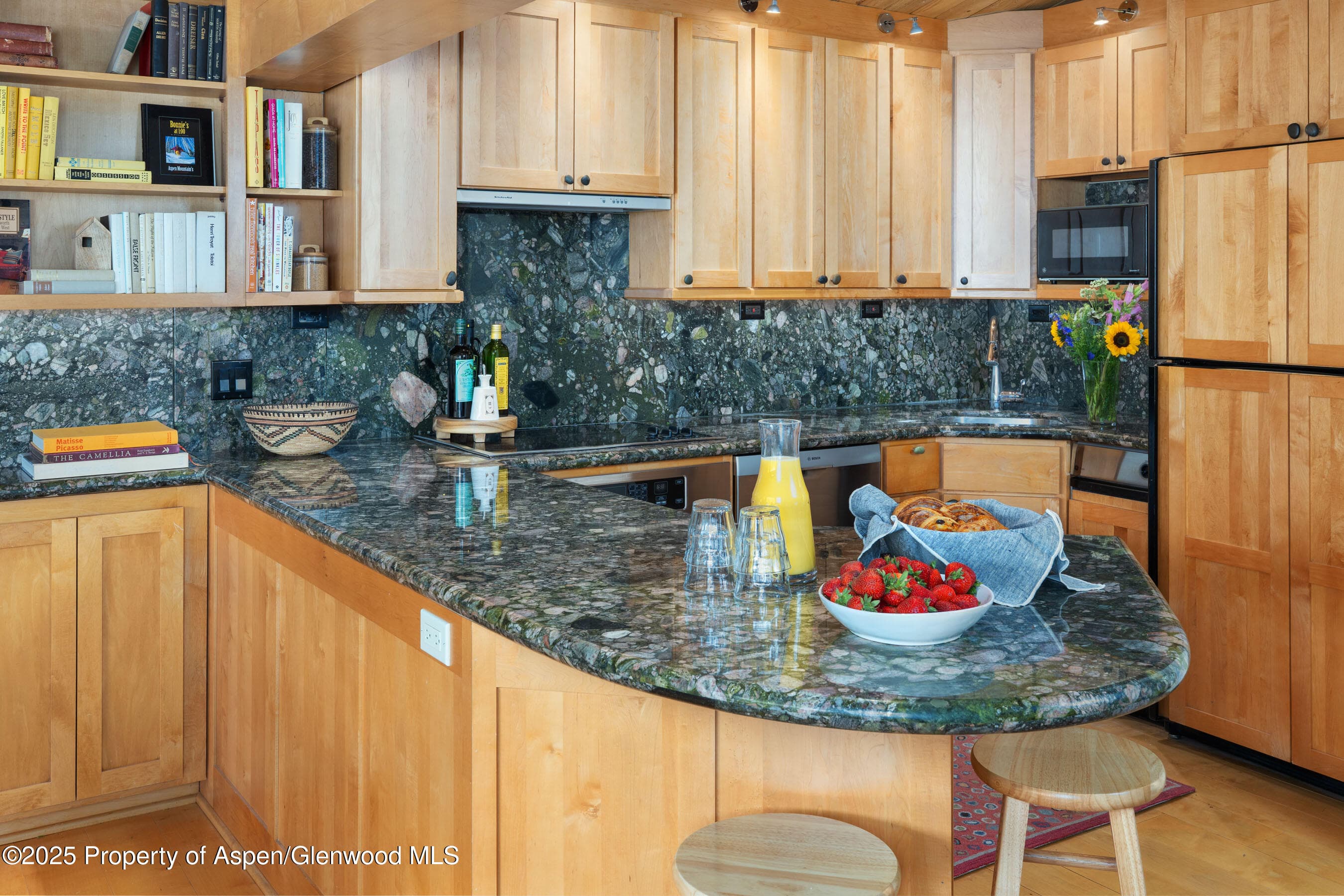 809 S Aspen Street 8, Aspen, CO 81611 - Photo 9