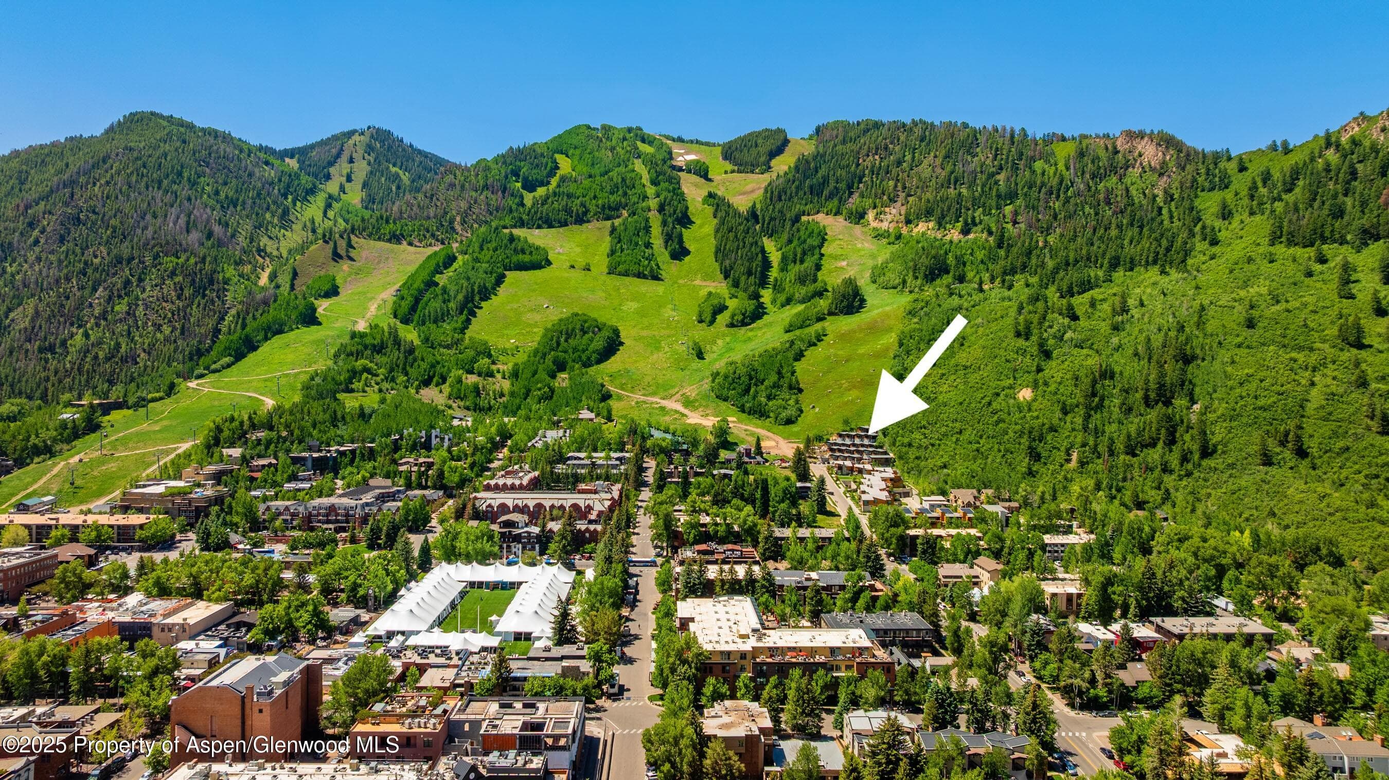 809 S Aspen Street 8, Aspen, CO 81611 - Photo 1