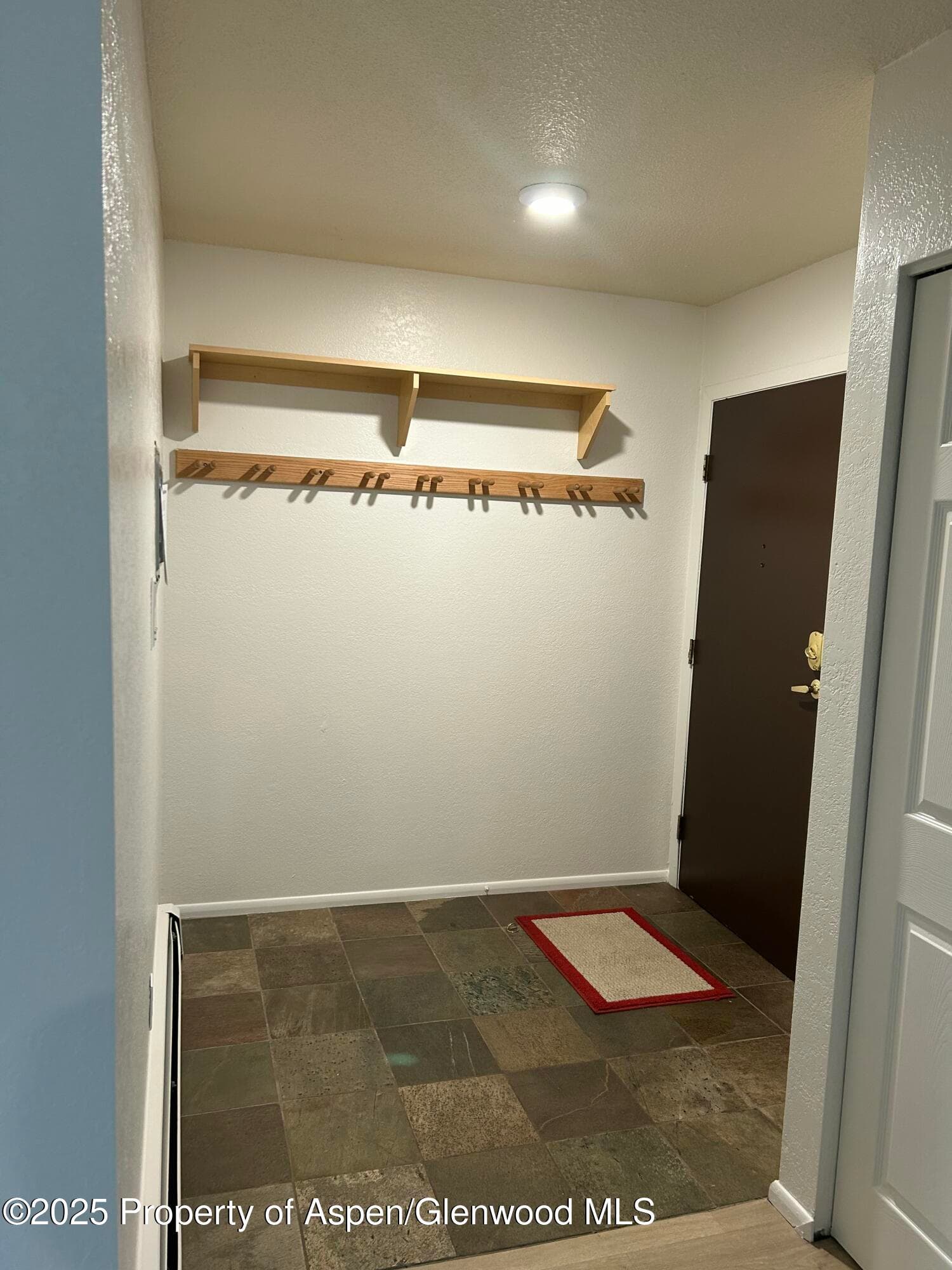 1527 Blake Avenue 201, Glenwood Springs, CO 81601 - Photo 13