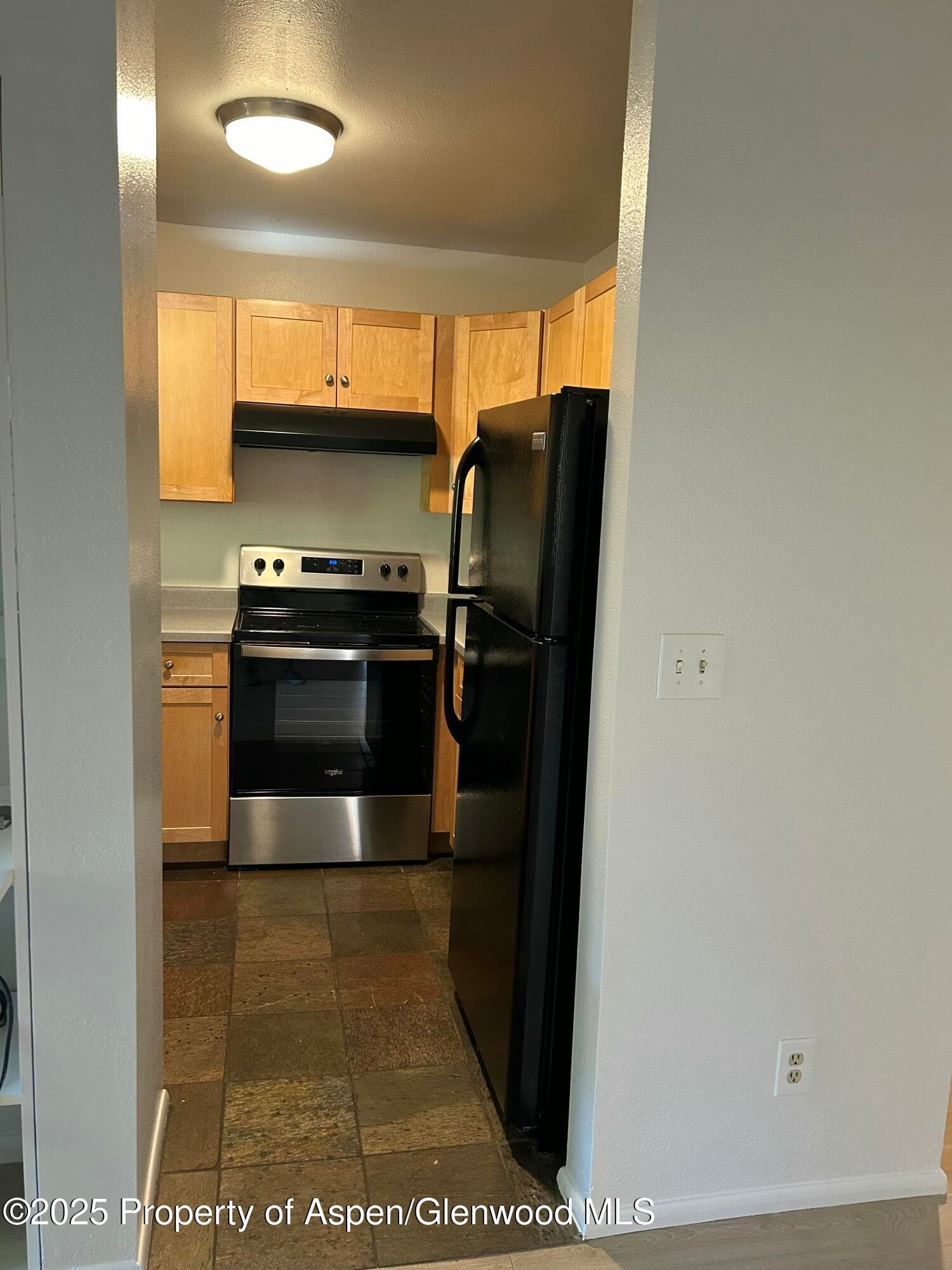 1527 Blake Avenue 201, Glenwood Springs, CO 81601 - Photo 7