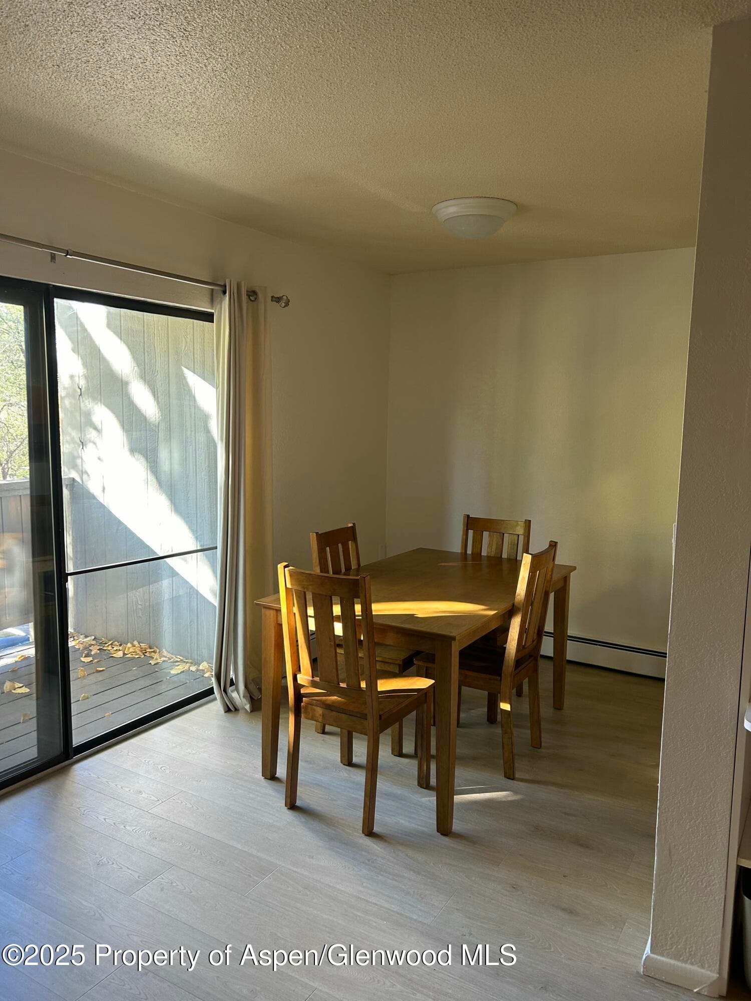 1527 Blake Avenue 201, Glenwood Springs, CO 81601 - Photo 5