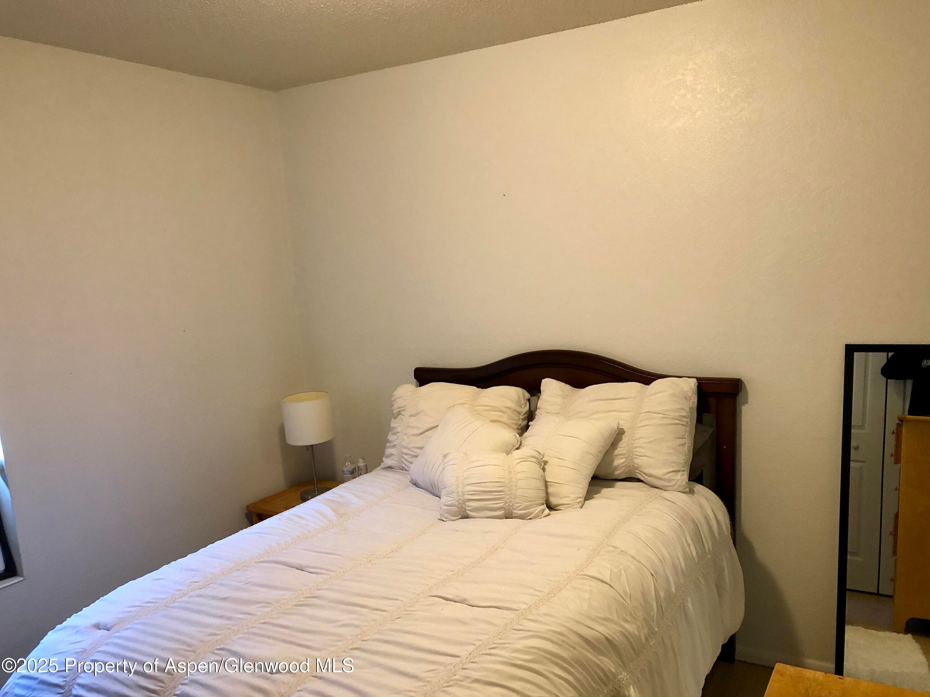 1527 Blake Avenue 201, Glenwood Springs, CO 81601 - Photo 10